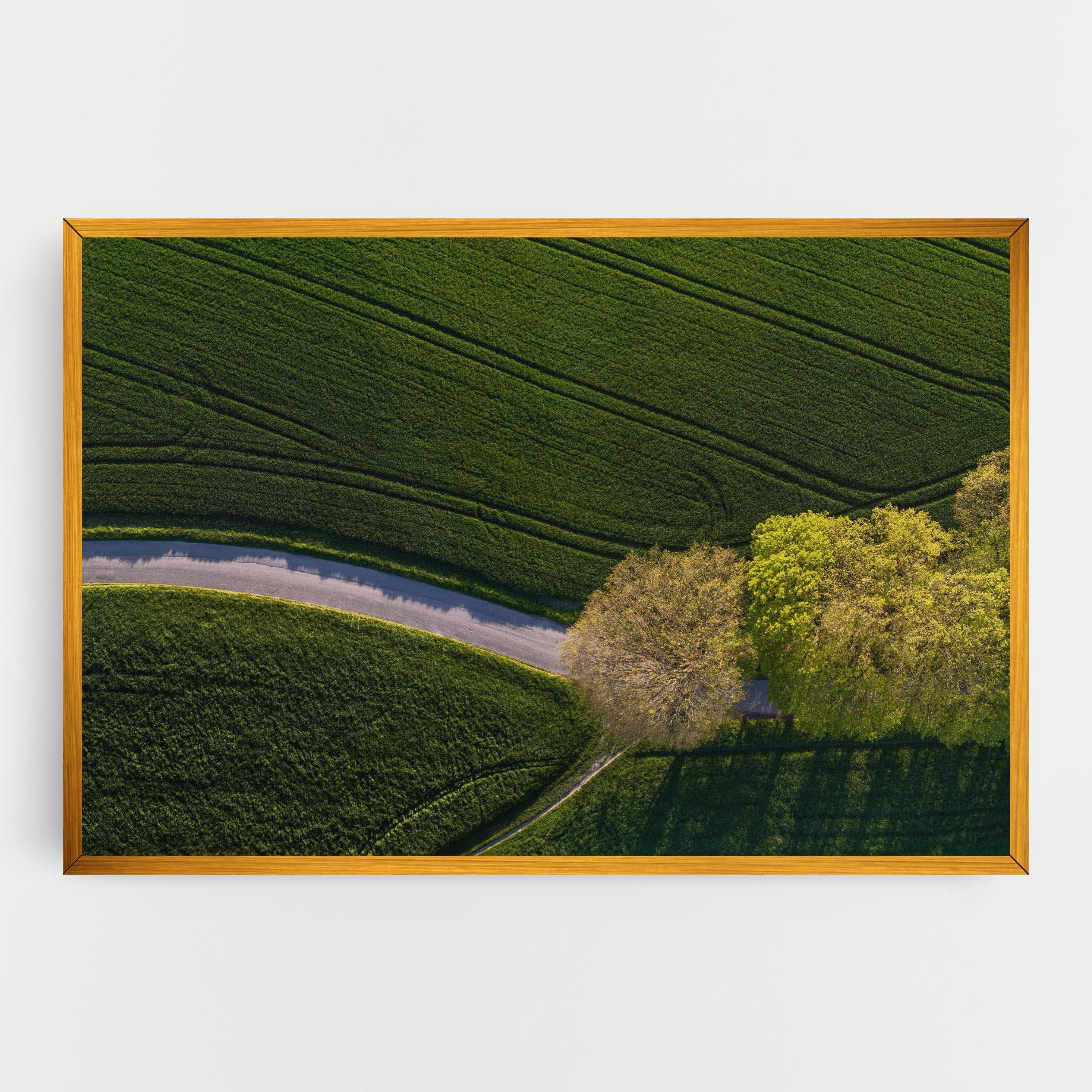 Vászonkép Green Road mockup 0