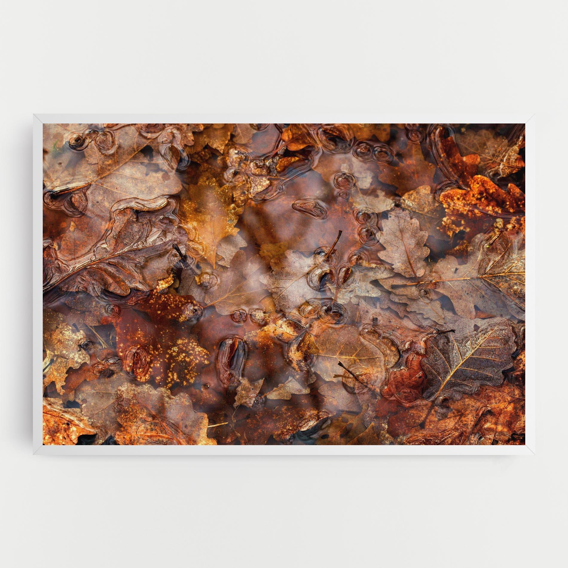 Vászonkép Brown mockup 0