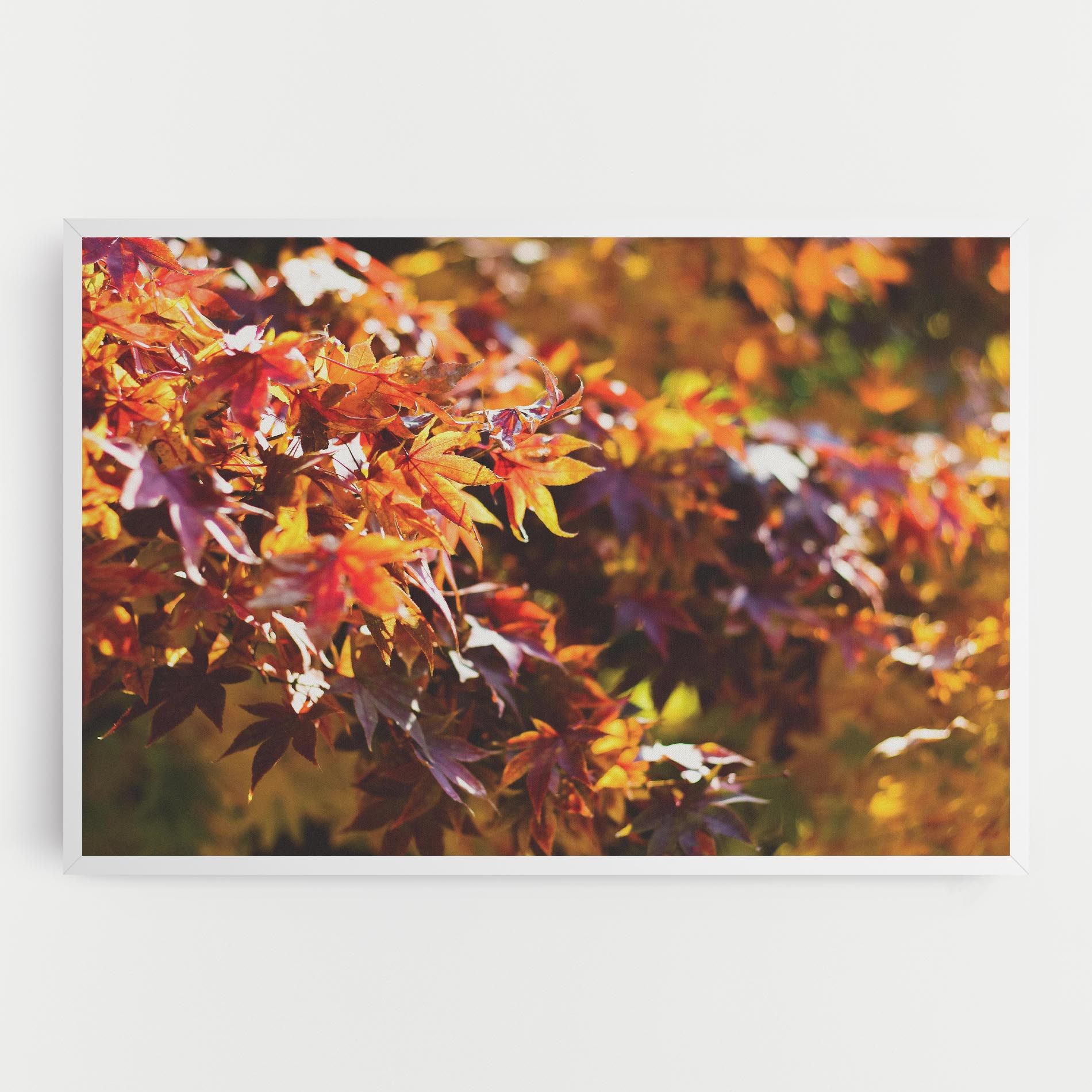 Dark Red Leaves mockup 0