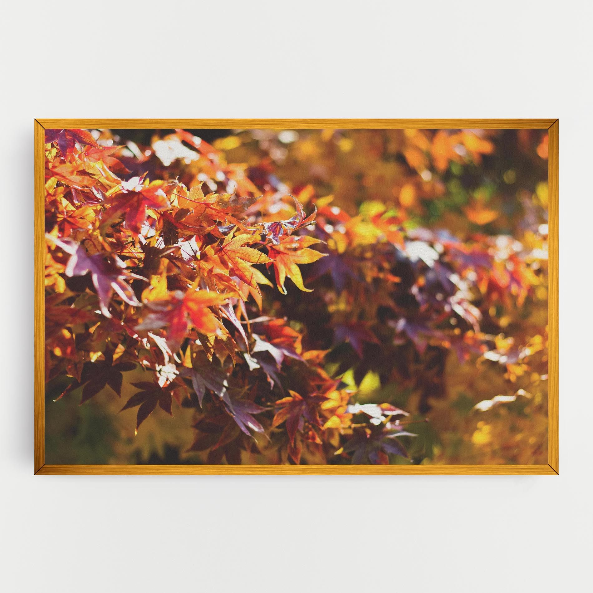 Dark Red Leaves mockup 0