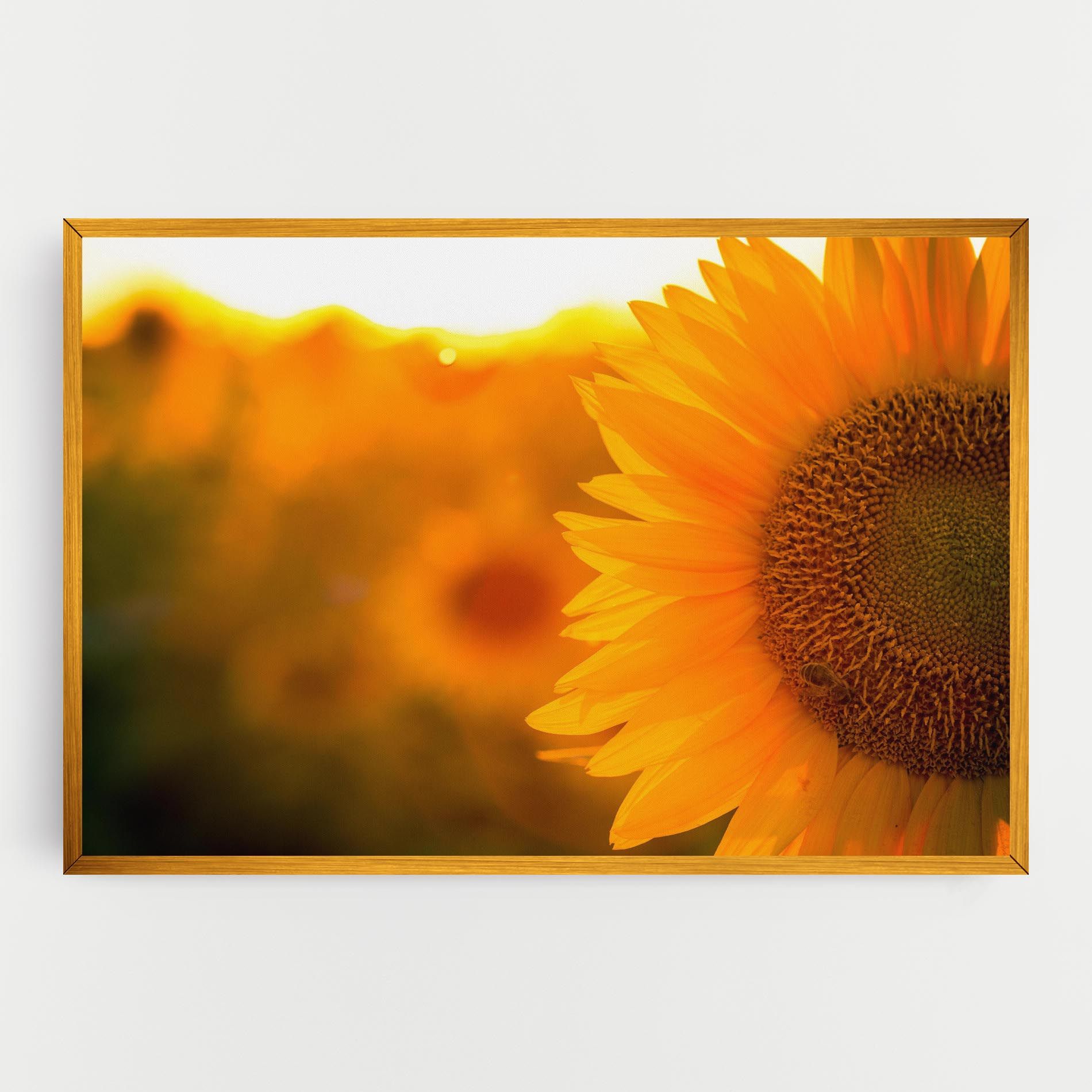 Sunflower mockup 0