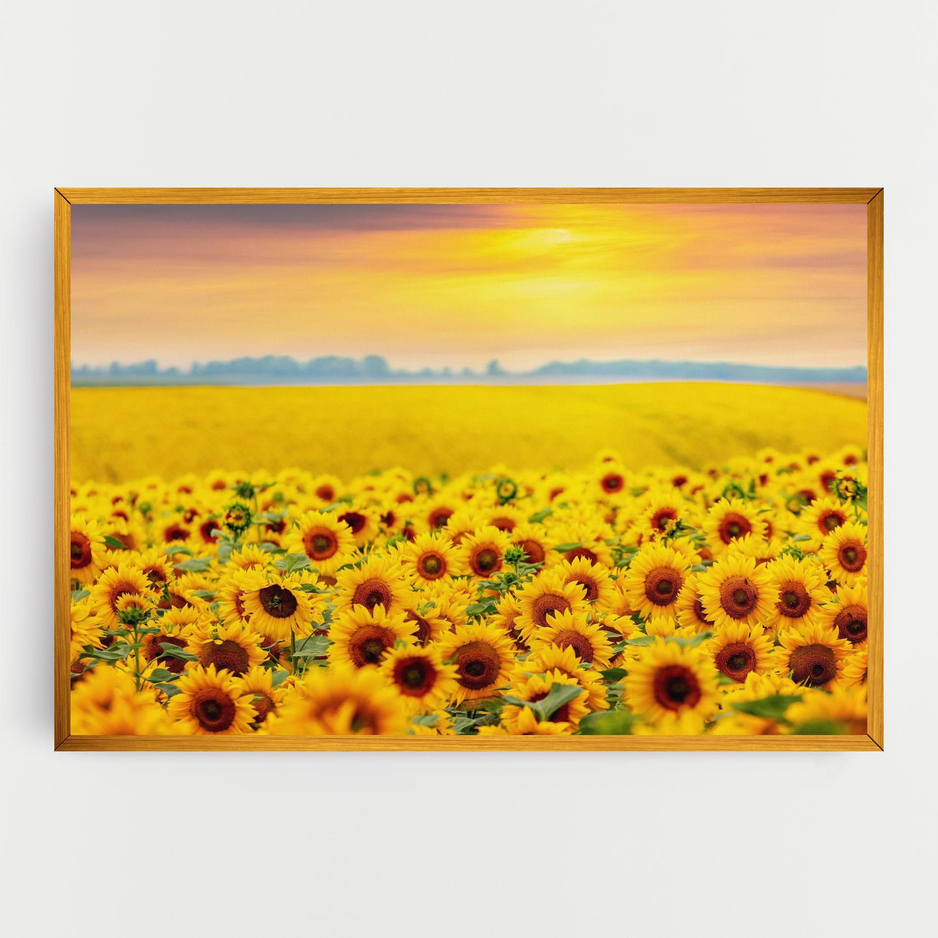 Yellow Sunflowers mockup 0