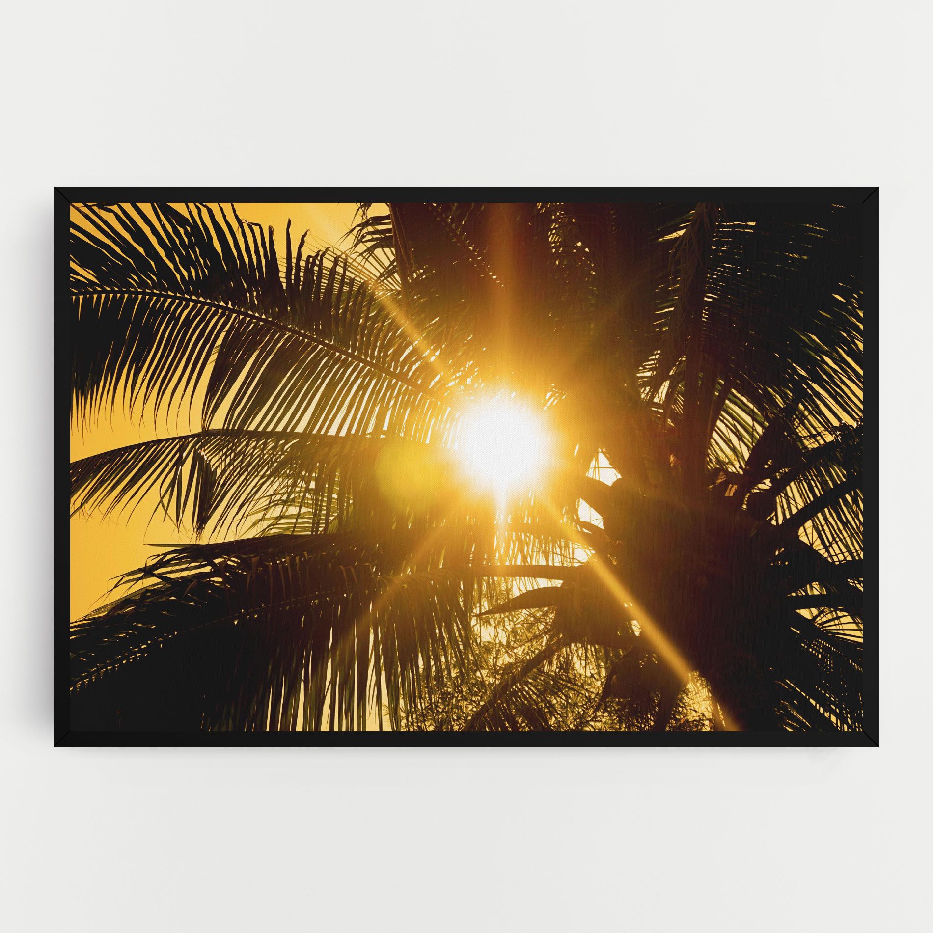 Palm Trees Sun mockup 0