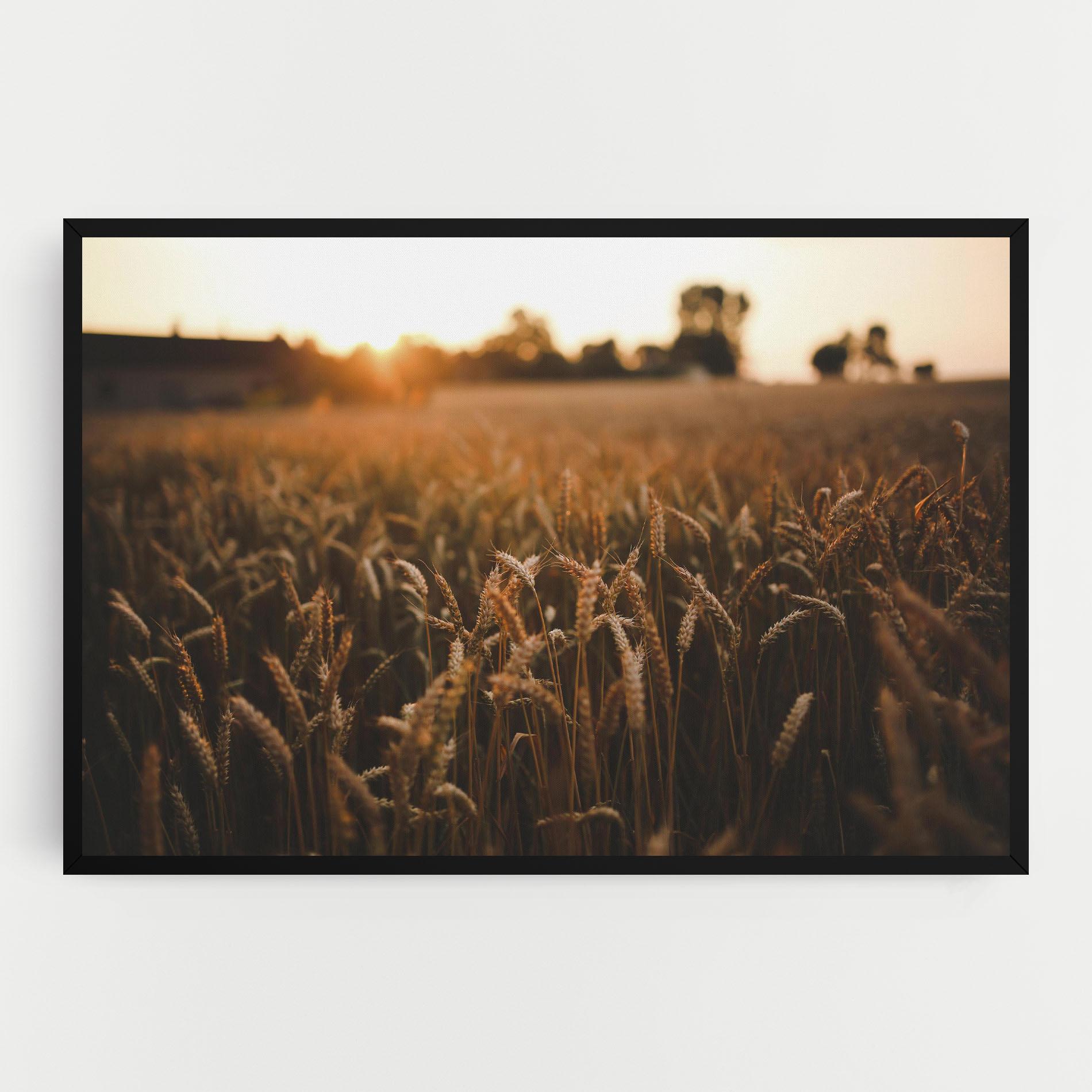 Vászonkép Summer Field mockup 0