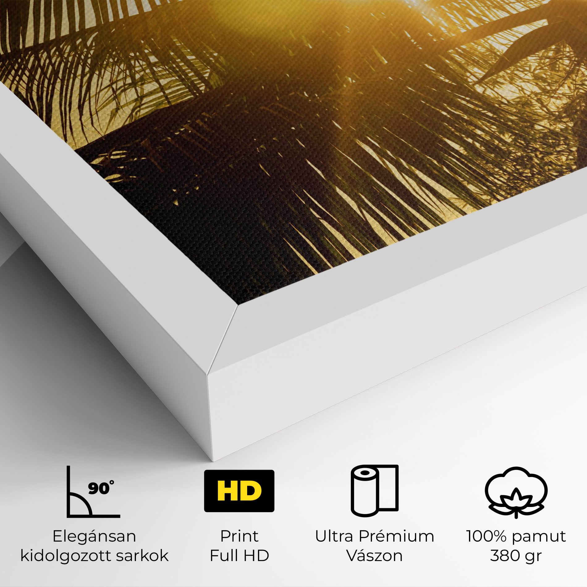 Palm Trees Sun mockup 4