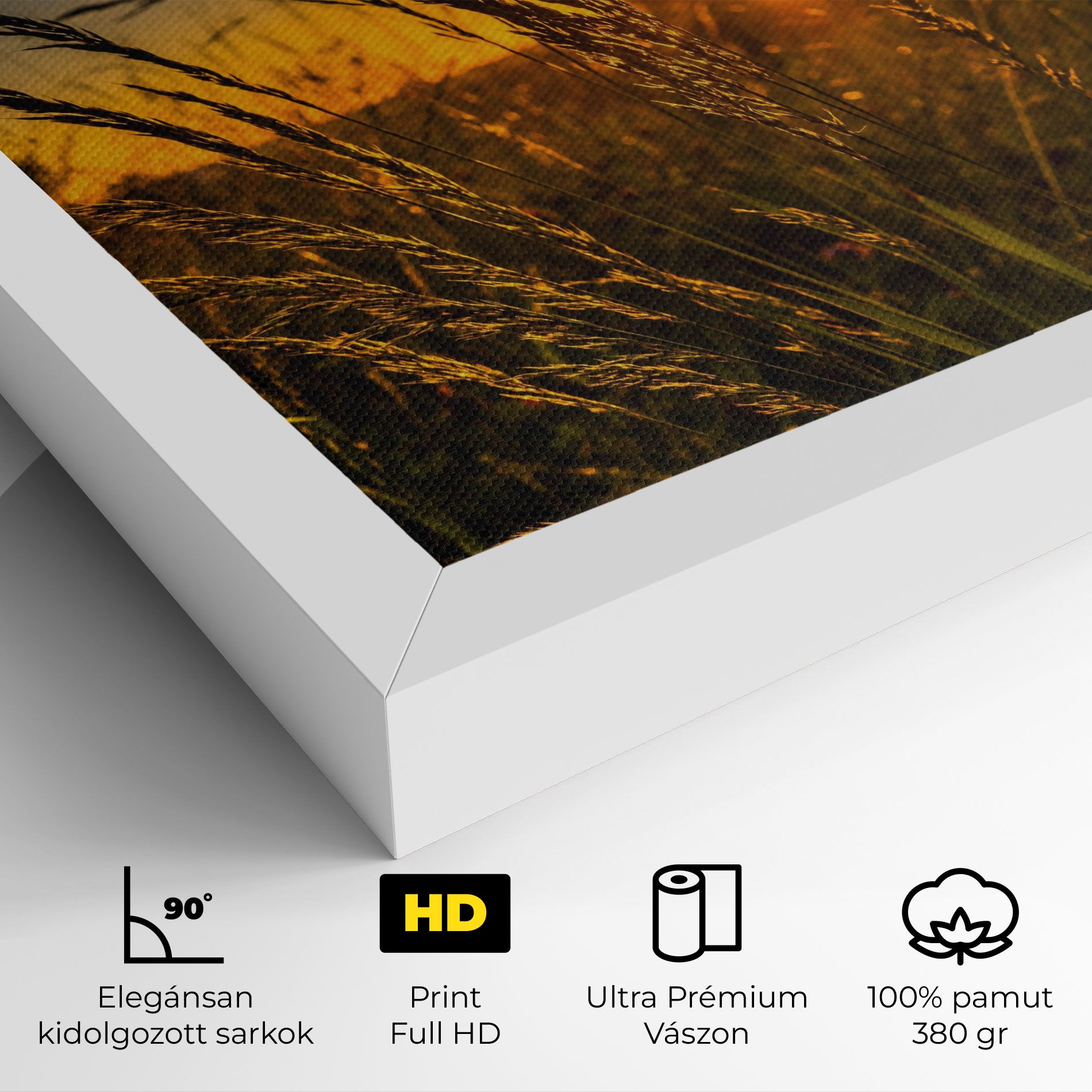 Wheat Sunset mockup 4