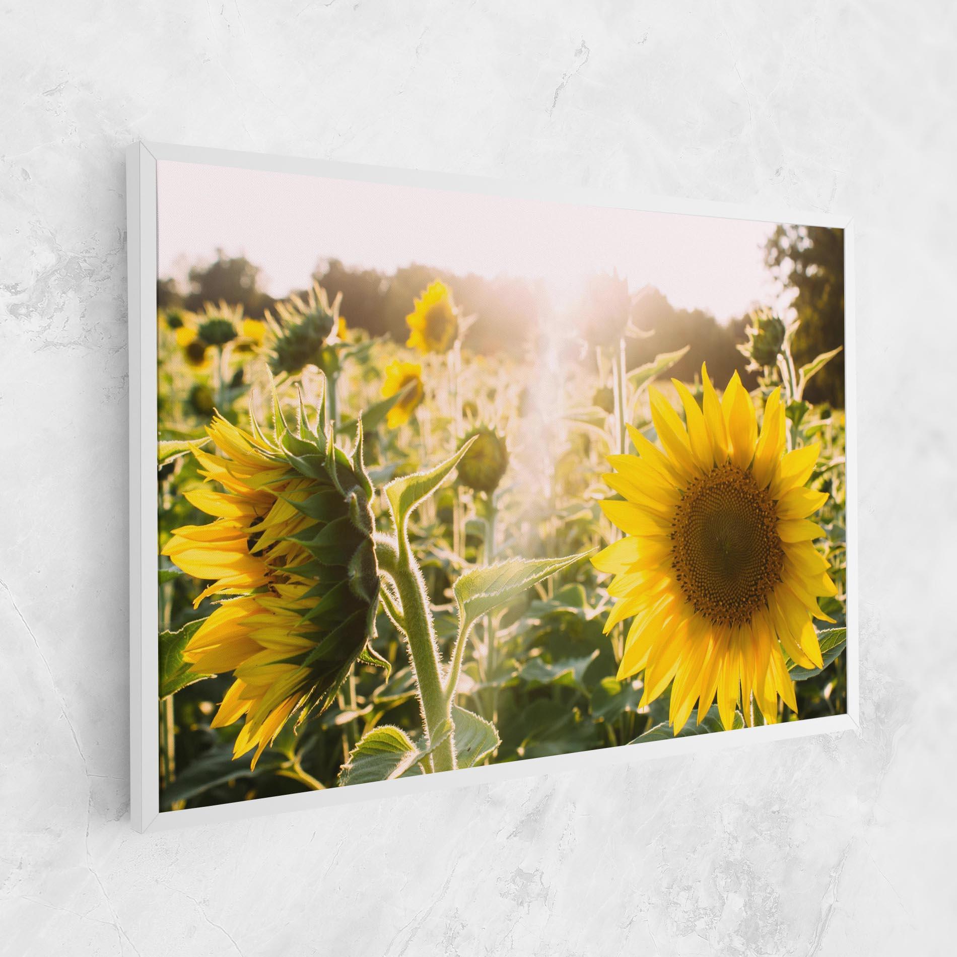 Vászonkép Yellow Sun Flower mockup 1