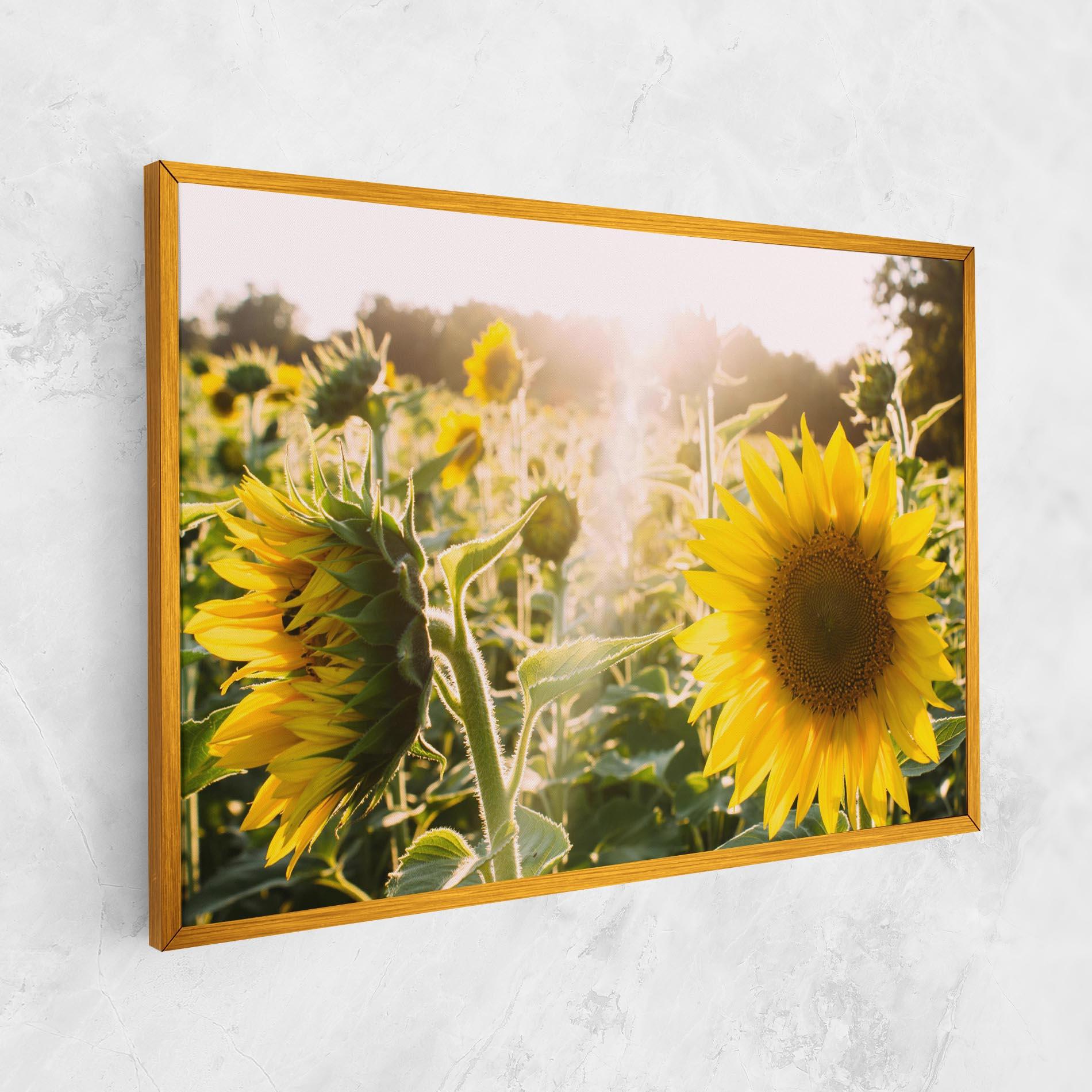 Vászonkép Yellow Sun Flower mockup 1