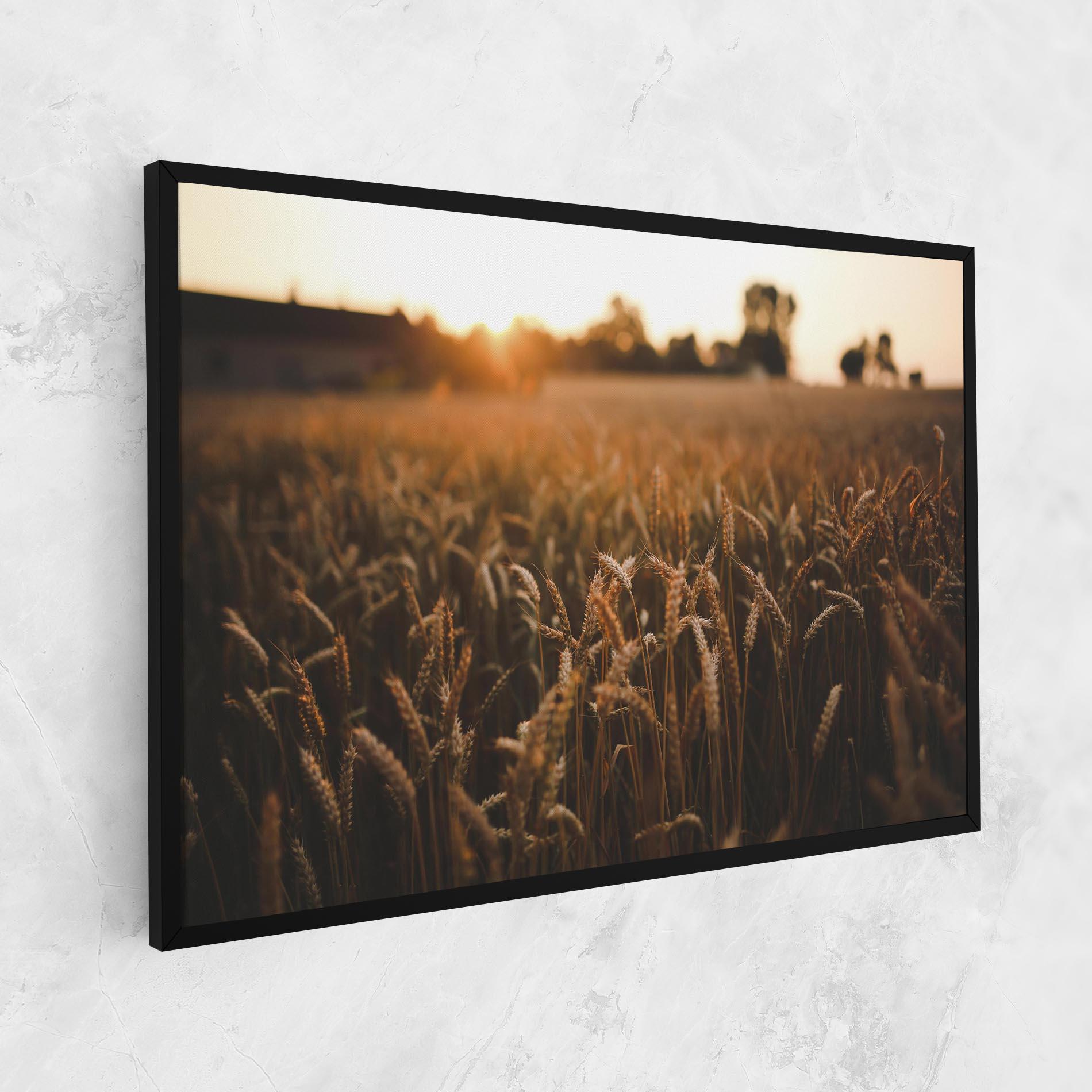 Vászonkép Summer Field mockup 1