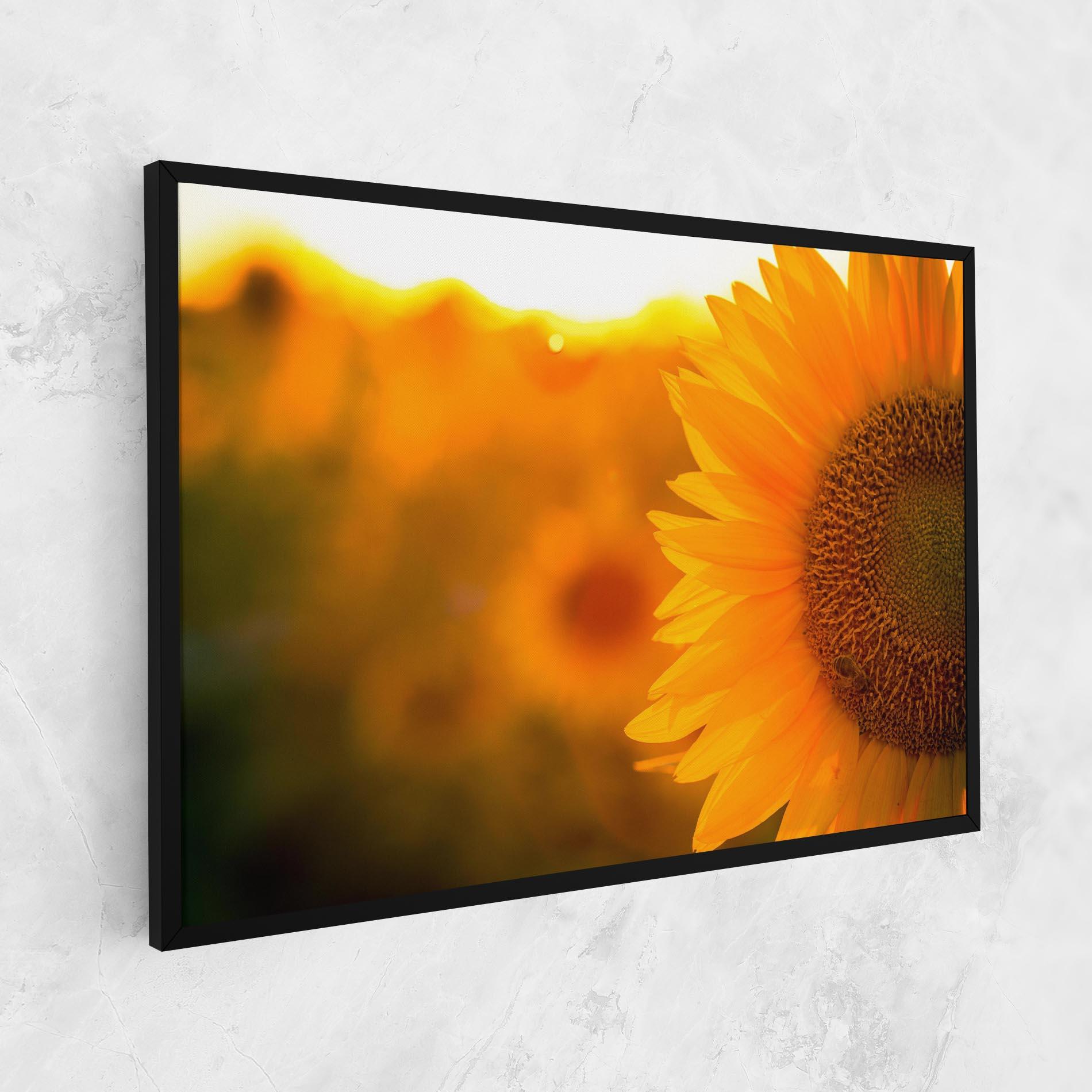 Vászonkép Sunflower mockup 1