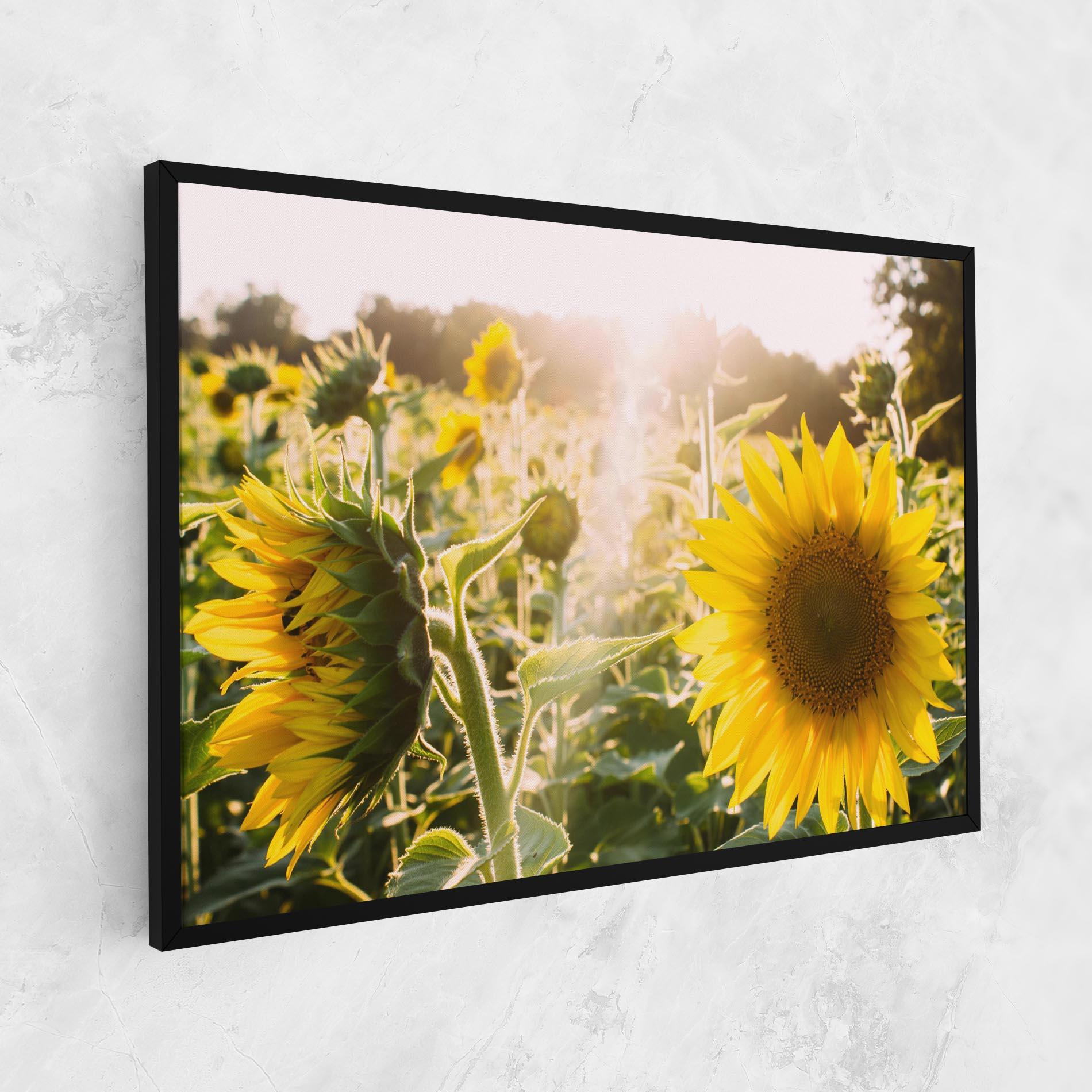 Vászonkép Yellow Sun Flower mockup 1