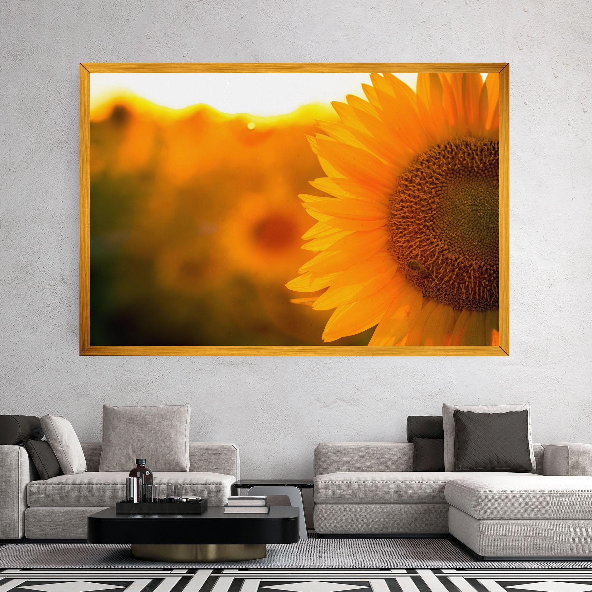 Vászonkép Sunflower mockup 2