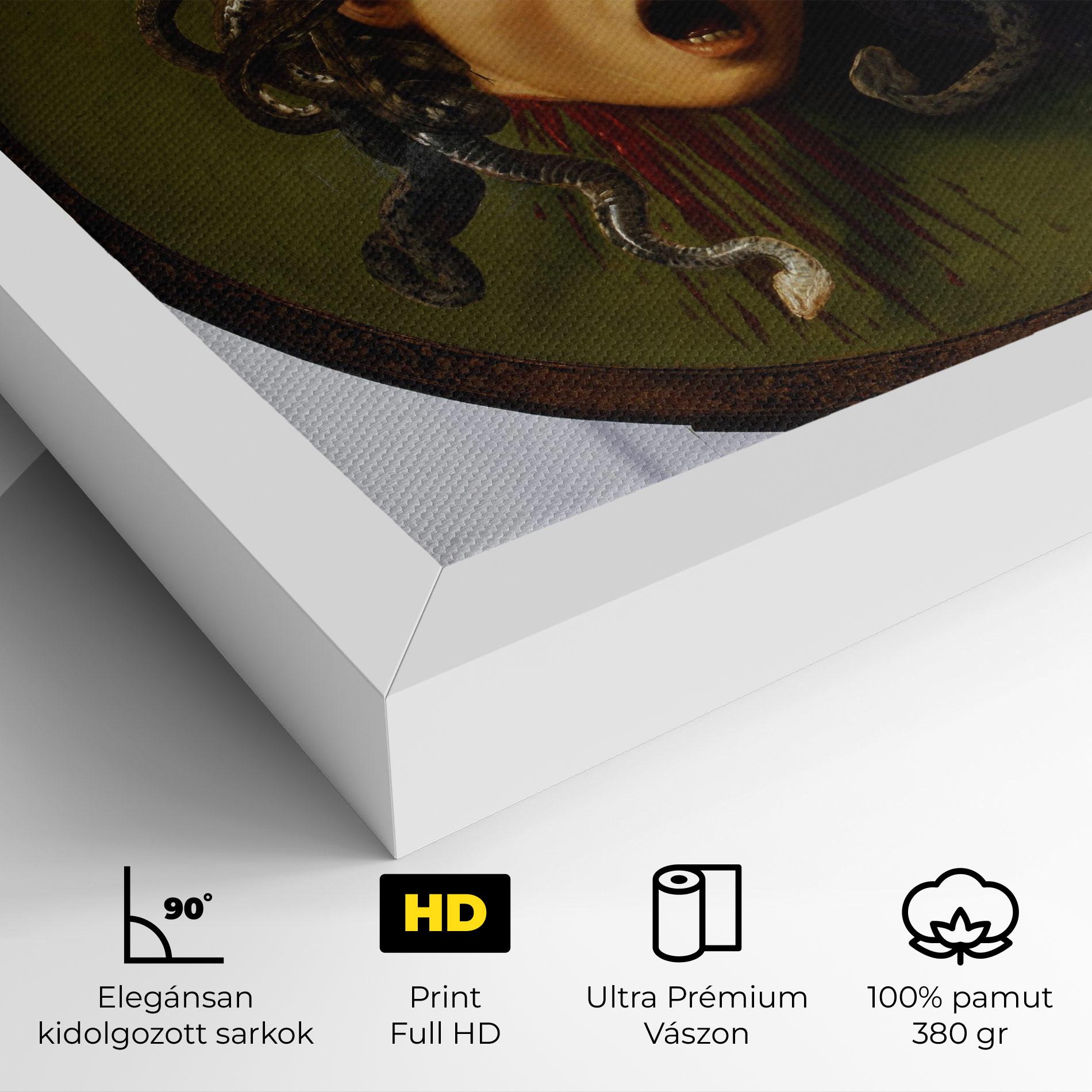 Vászonkép Caravaggio Medusa mockup 4