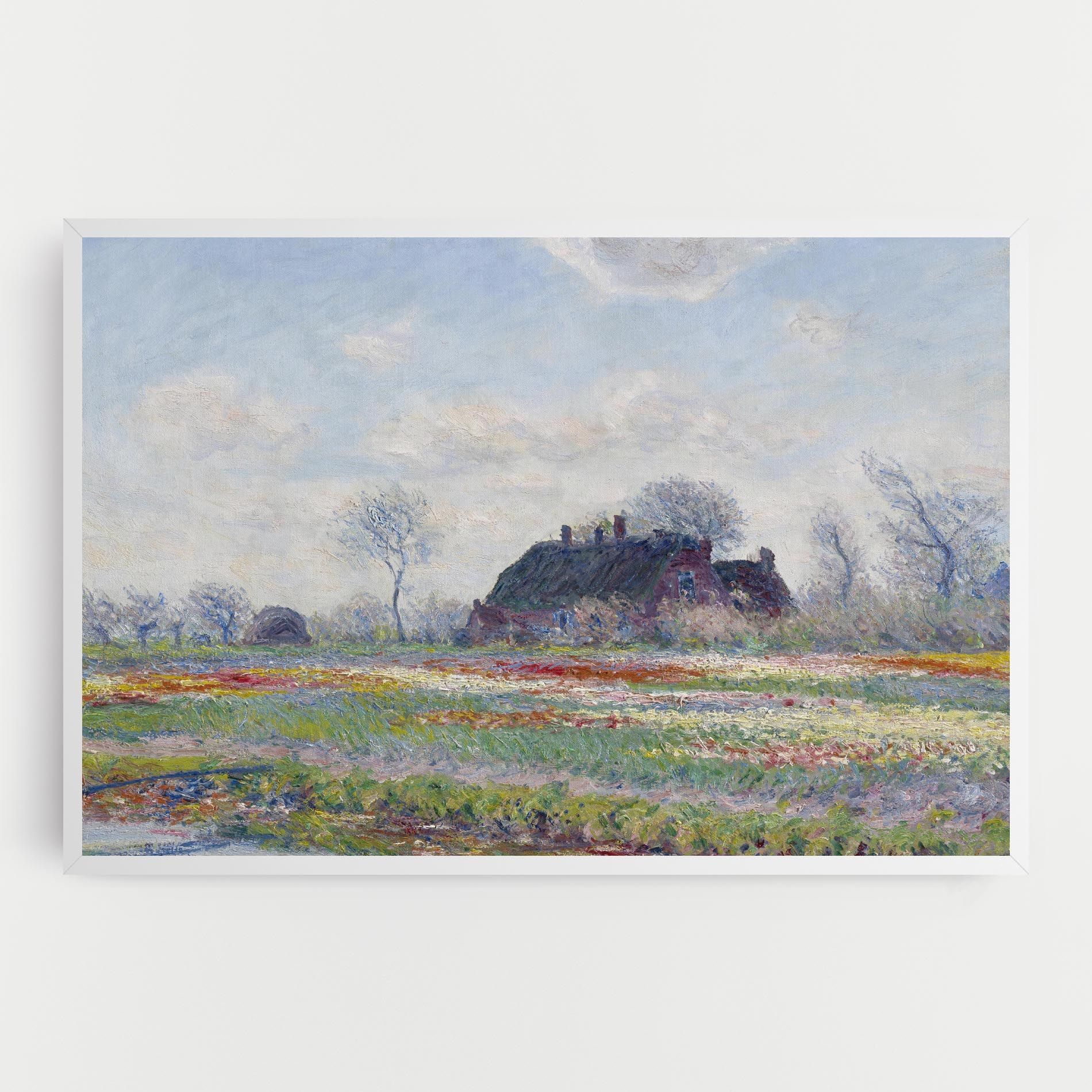 Tulip Fields At Sassenheim mockup 0