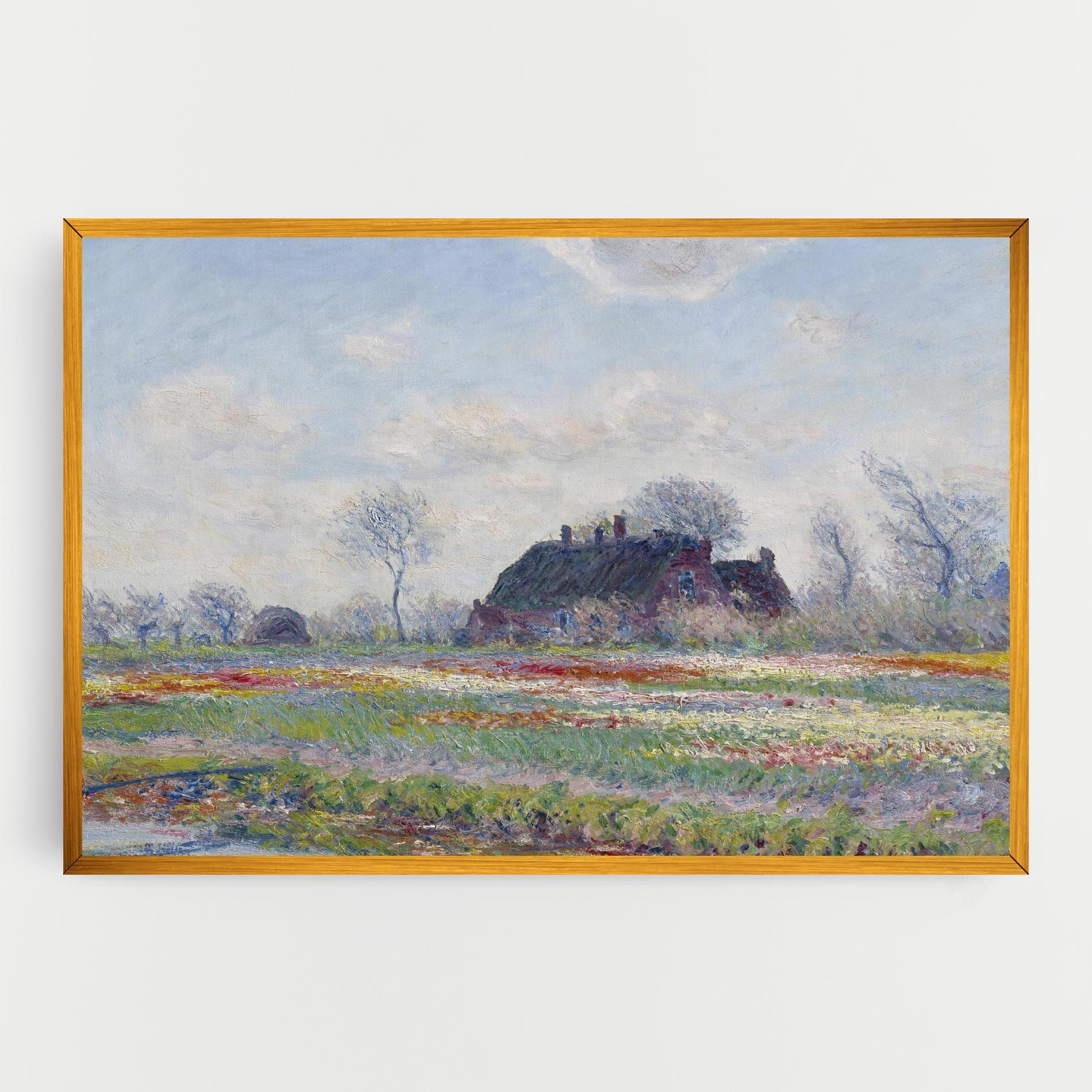 Tulip Fields At Sassenheim mockup 0