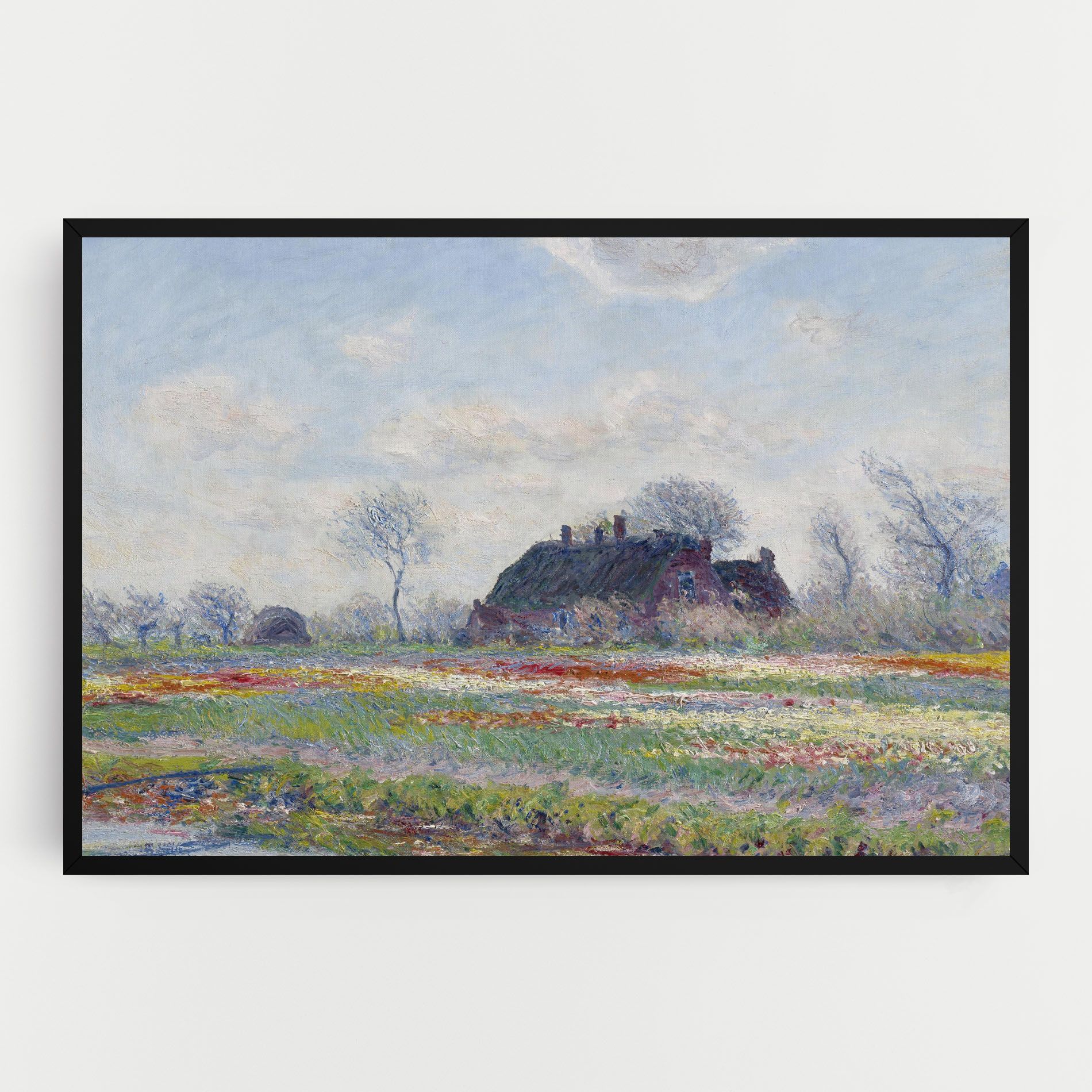 Tulip Fields At Sassenheim mockup 0