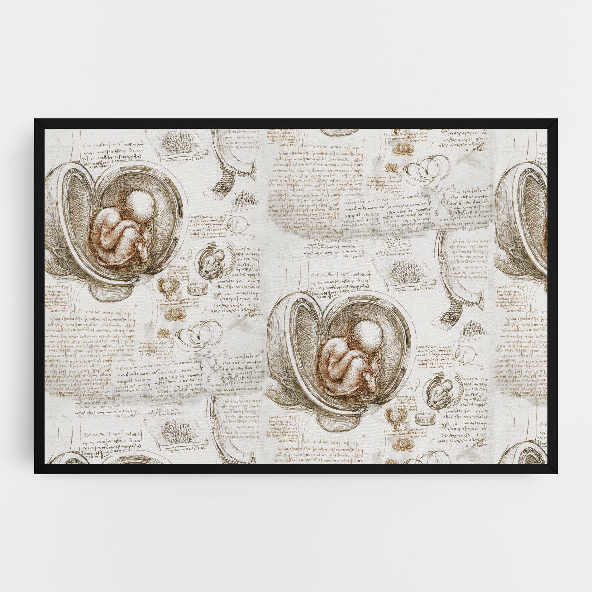Leonardo Studies Of The Foetus mockup 0