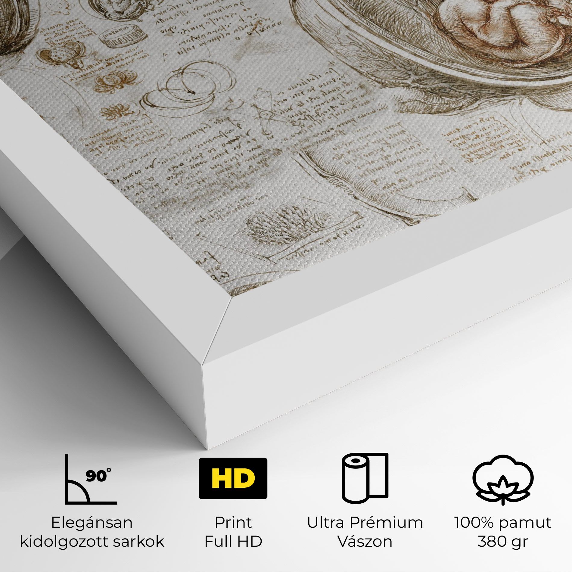 Leonardo Studies Of The Foetus mockup 4