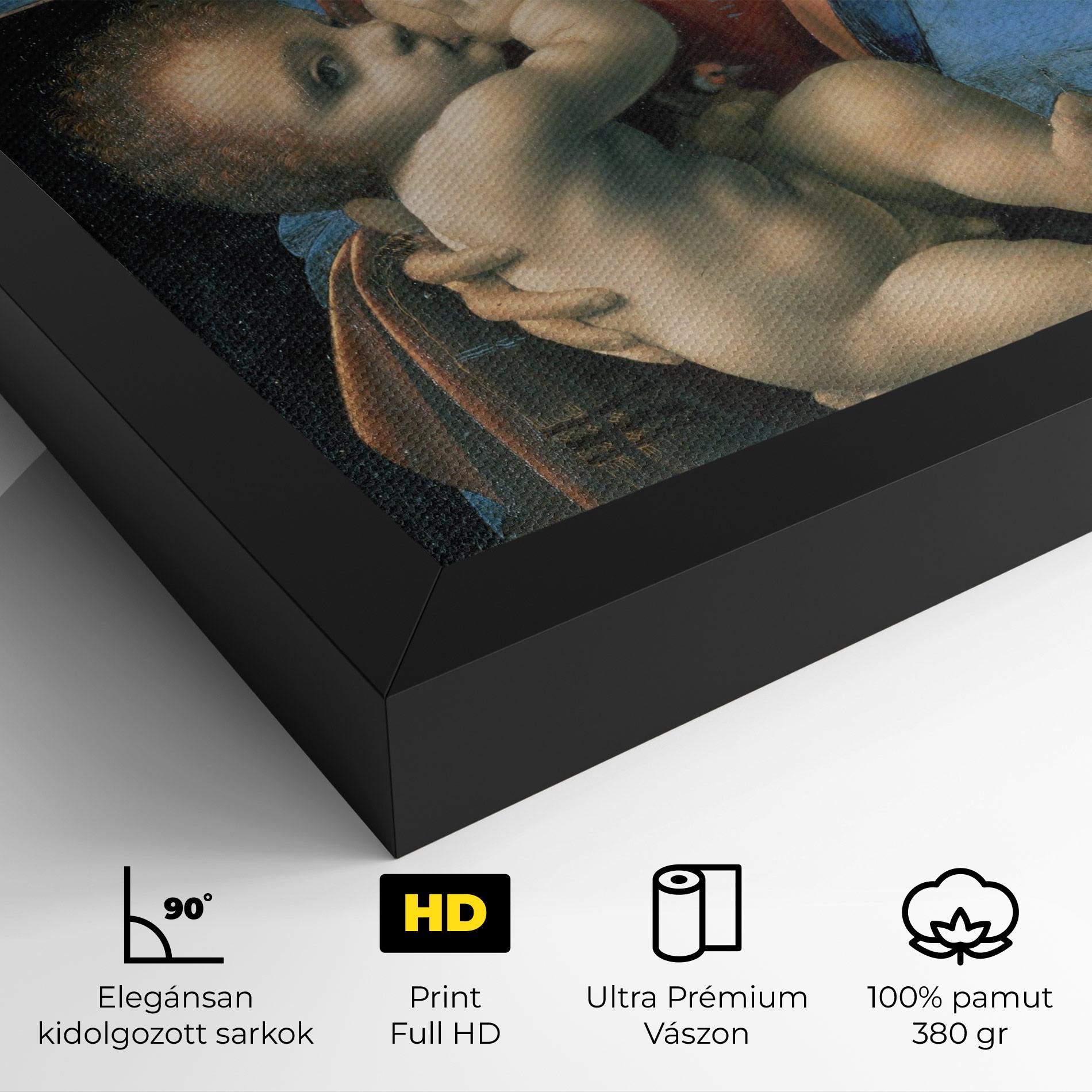 Vászonkép Leonardo Da Vinci Attributed Madonna Litta mockup 4