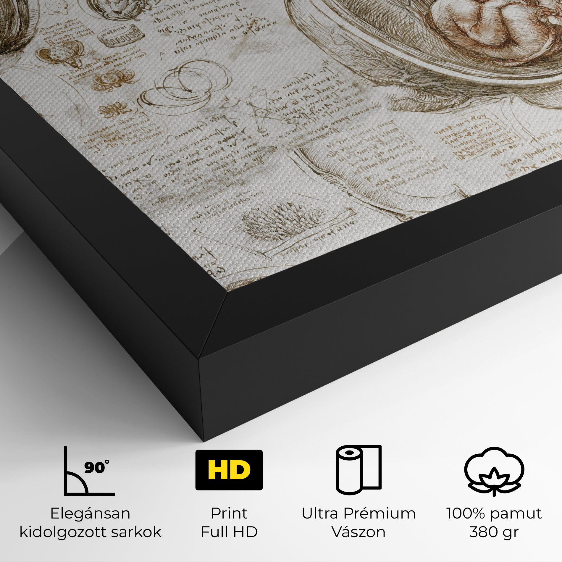 Leonardo Studies Of The Foetus mockup 4