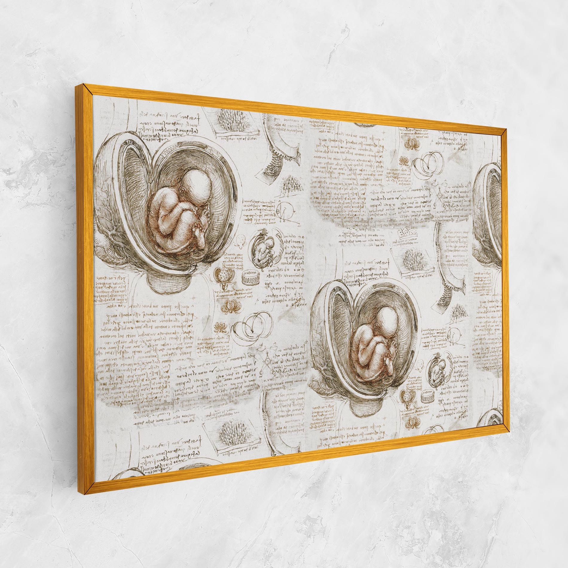 Leonardo Studies Of The Foetus mockup 1