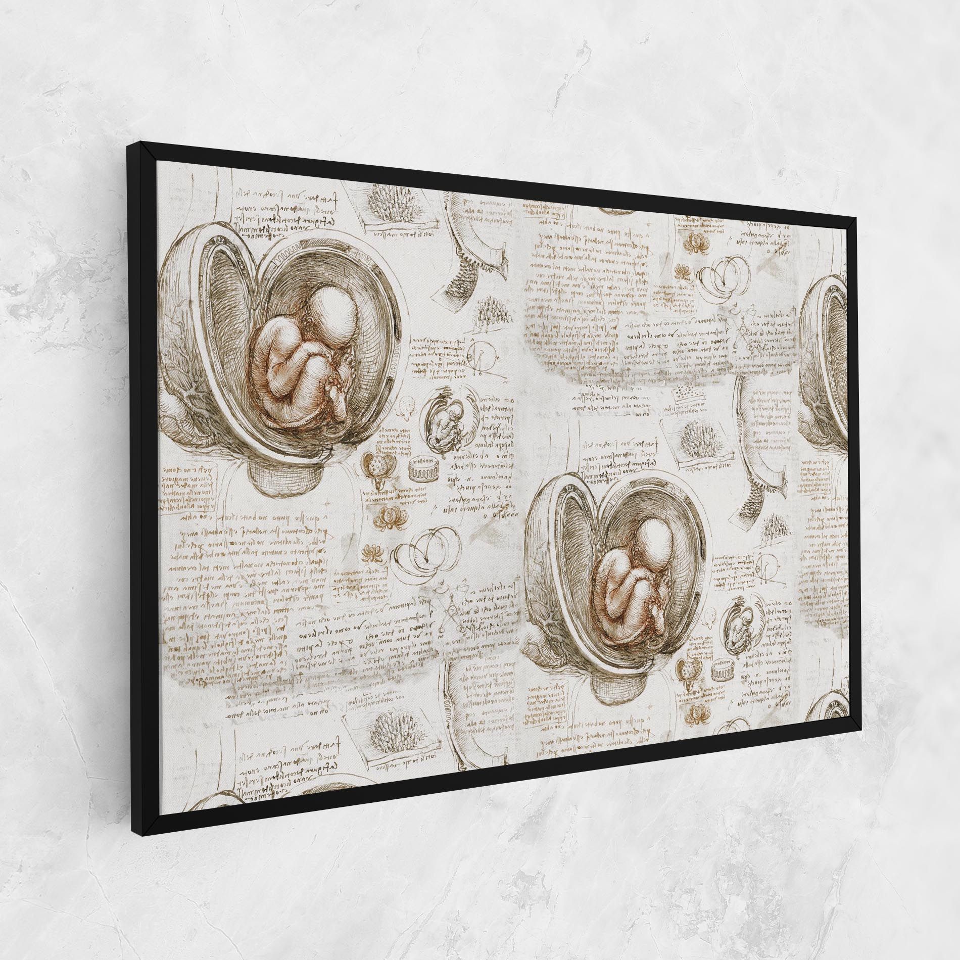 Leonardo Studies Of The Foetus mockup 1
