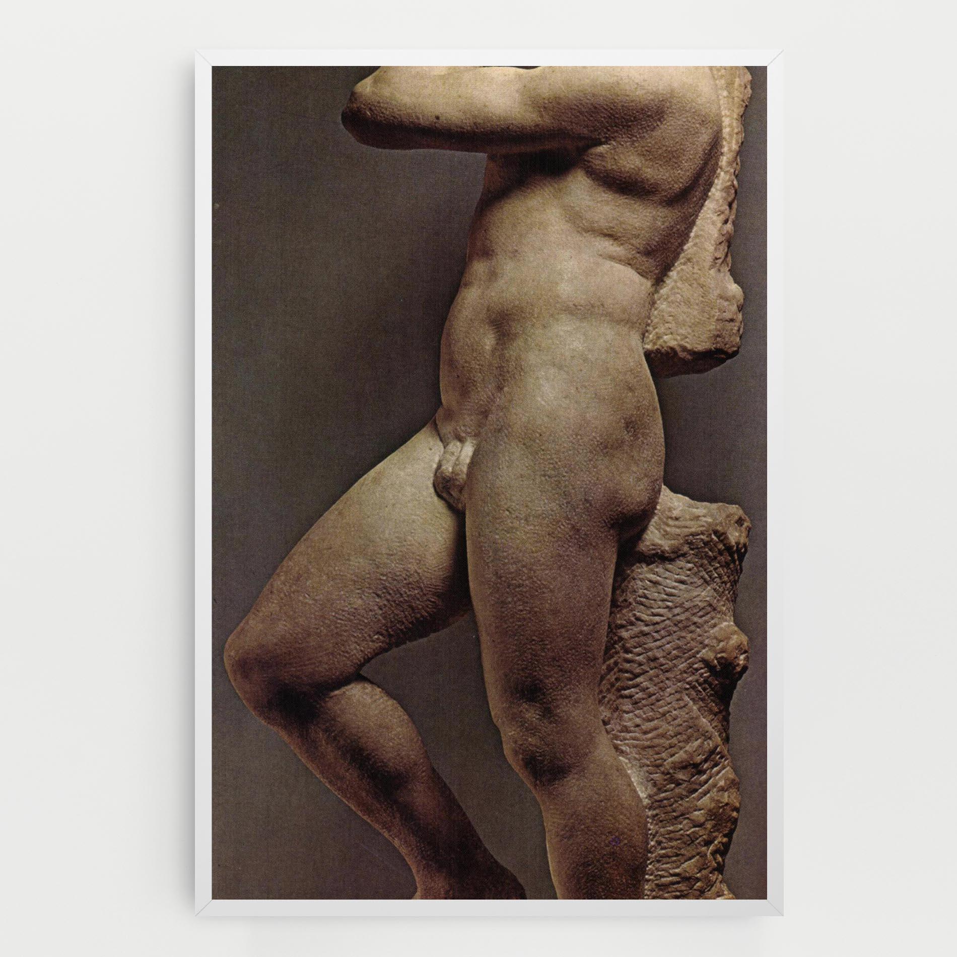 Vászonkép Apollino mockup 0