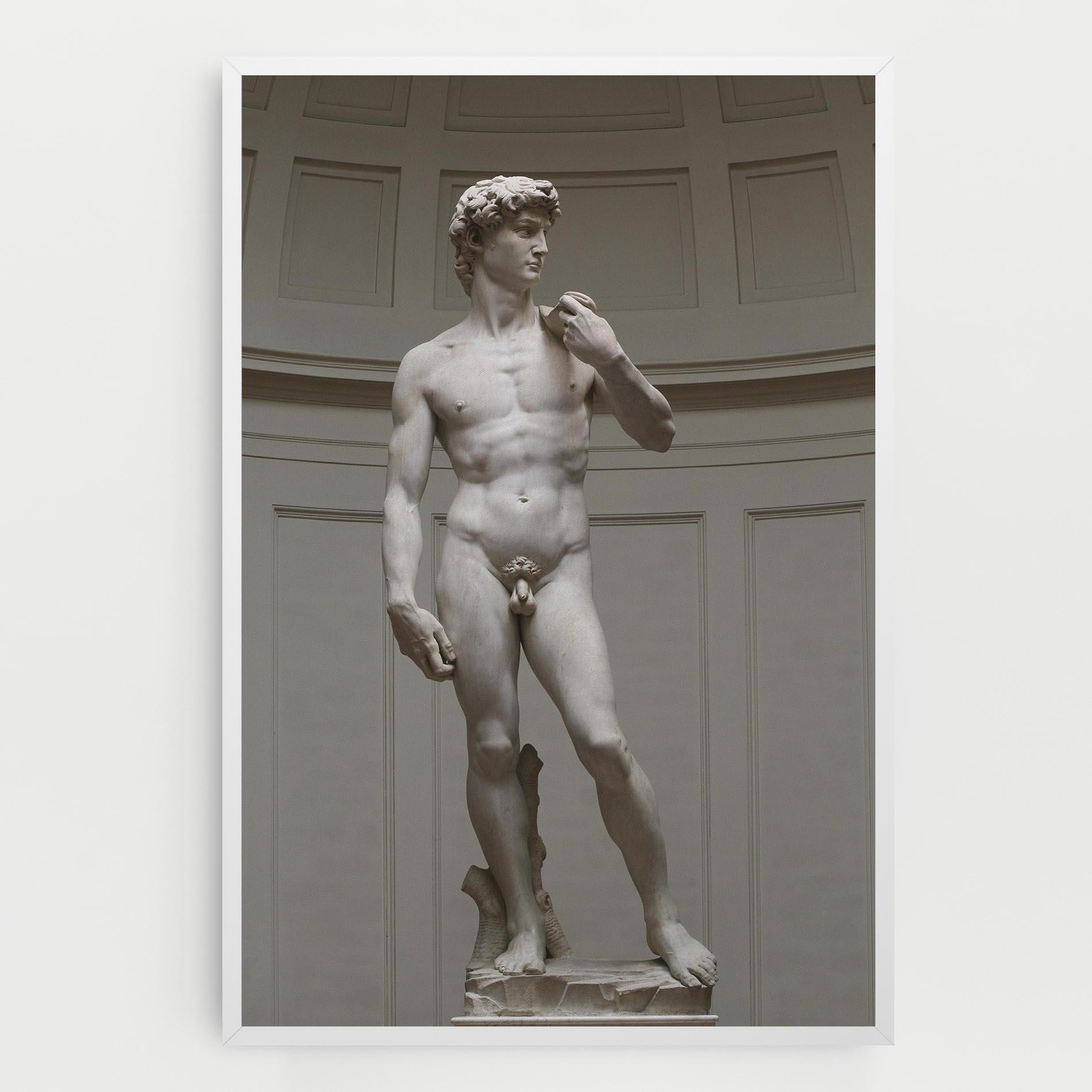Vászonkép Michelangelo Statue mockup 0