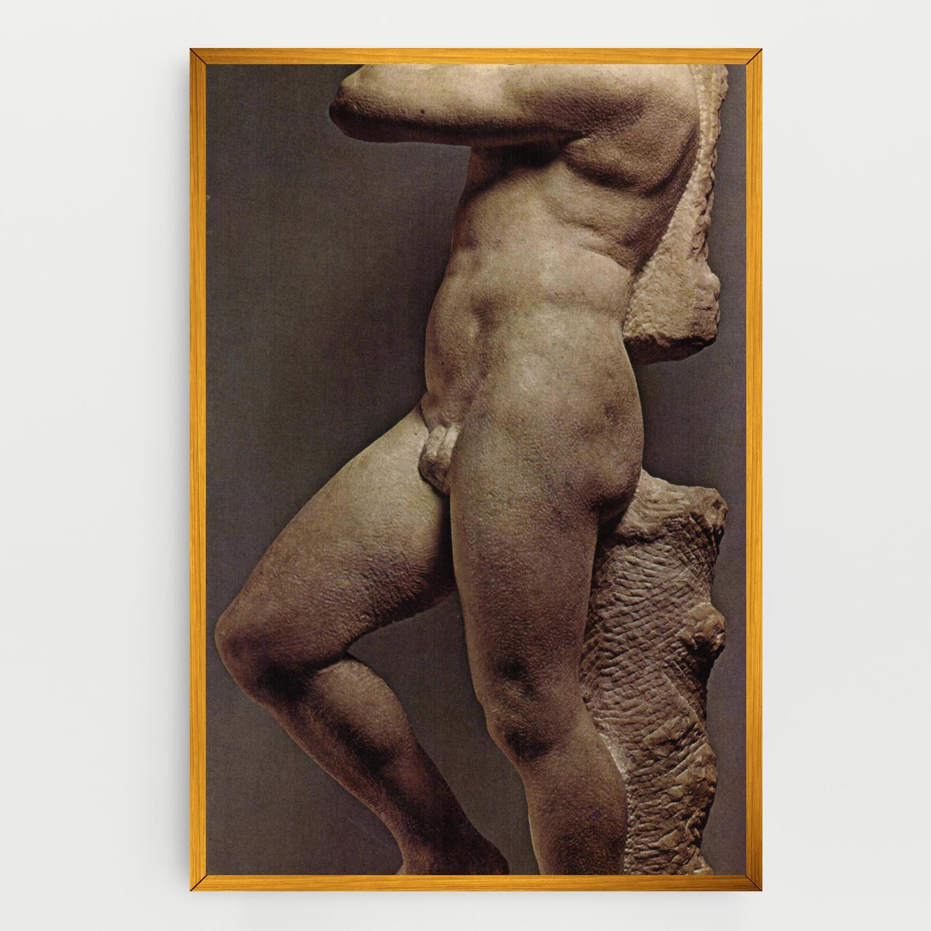 Vászonkép Apollino mockup 0