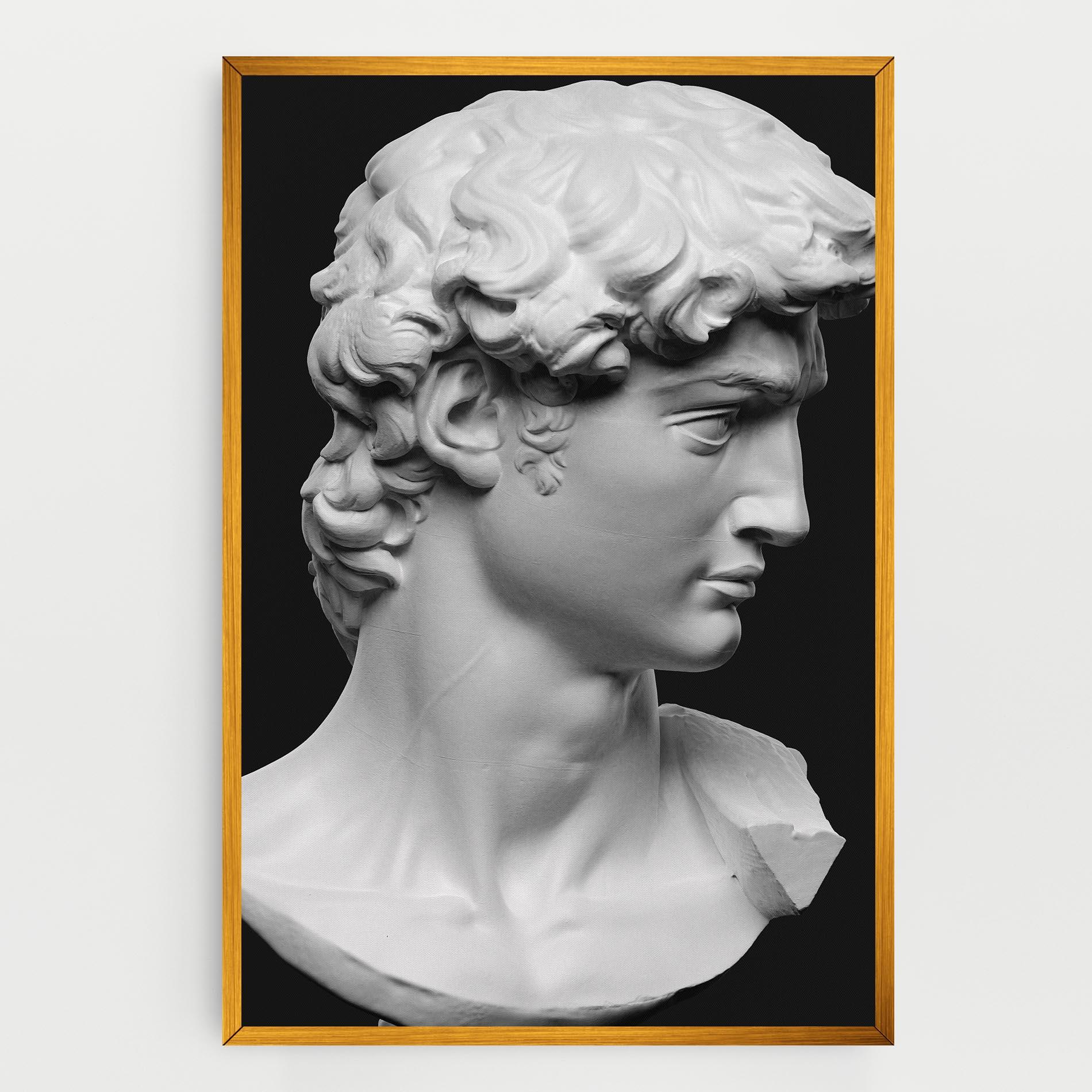 Vászonkép David Head mockup 0