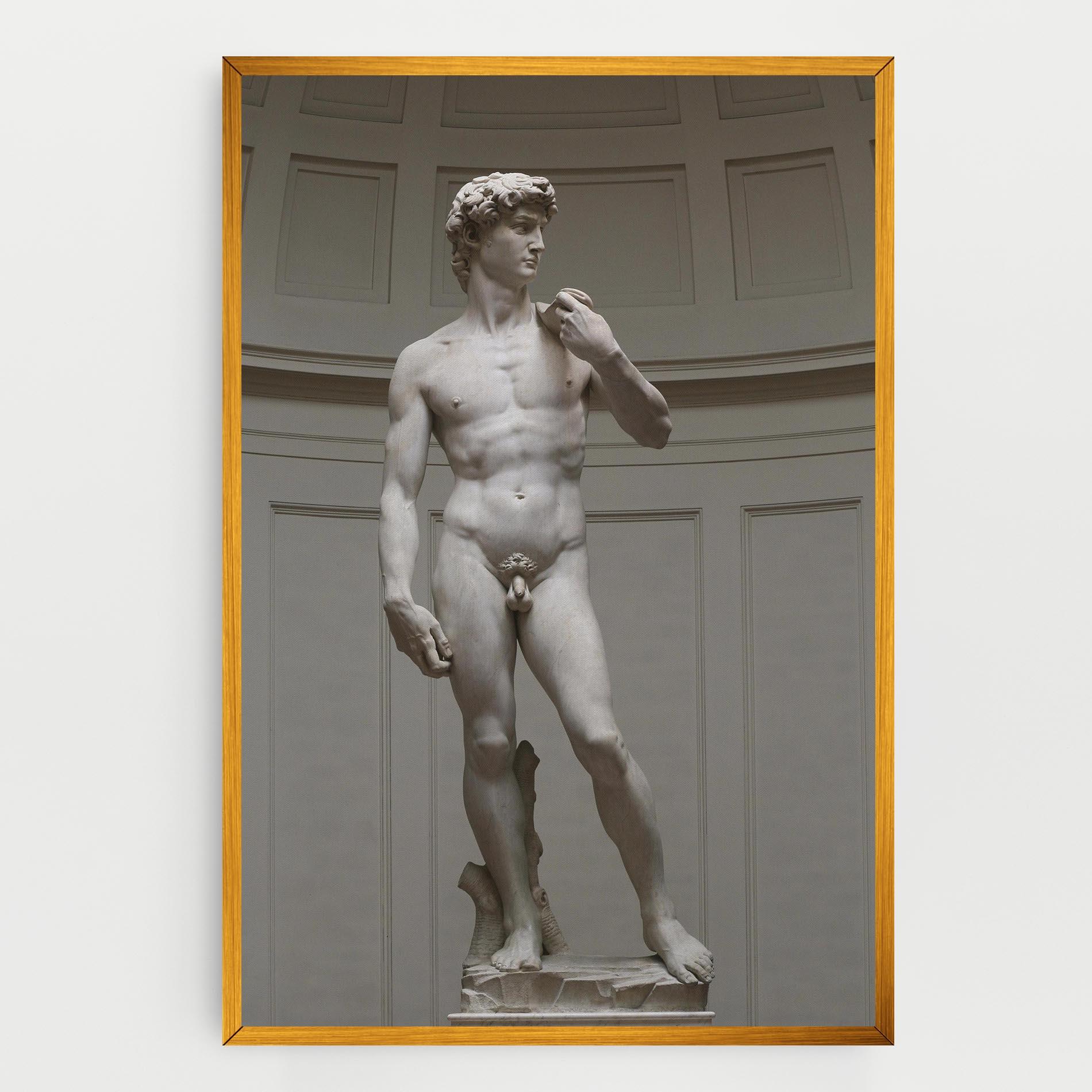 Vászonkép Michelangelo Statue mockup 0