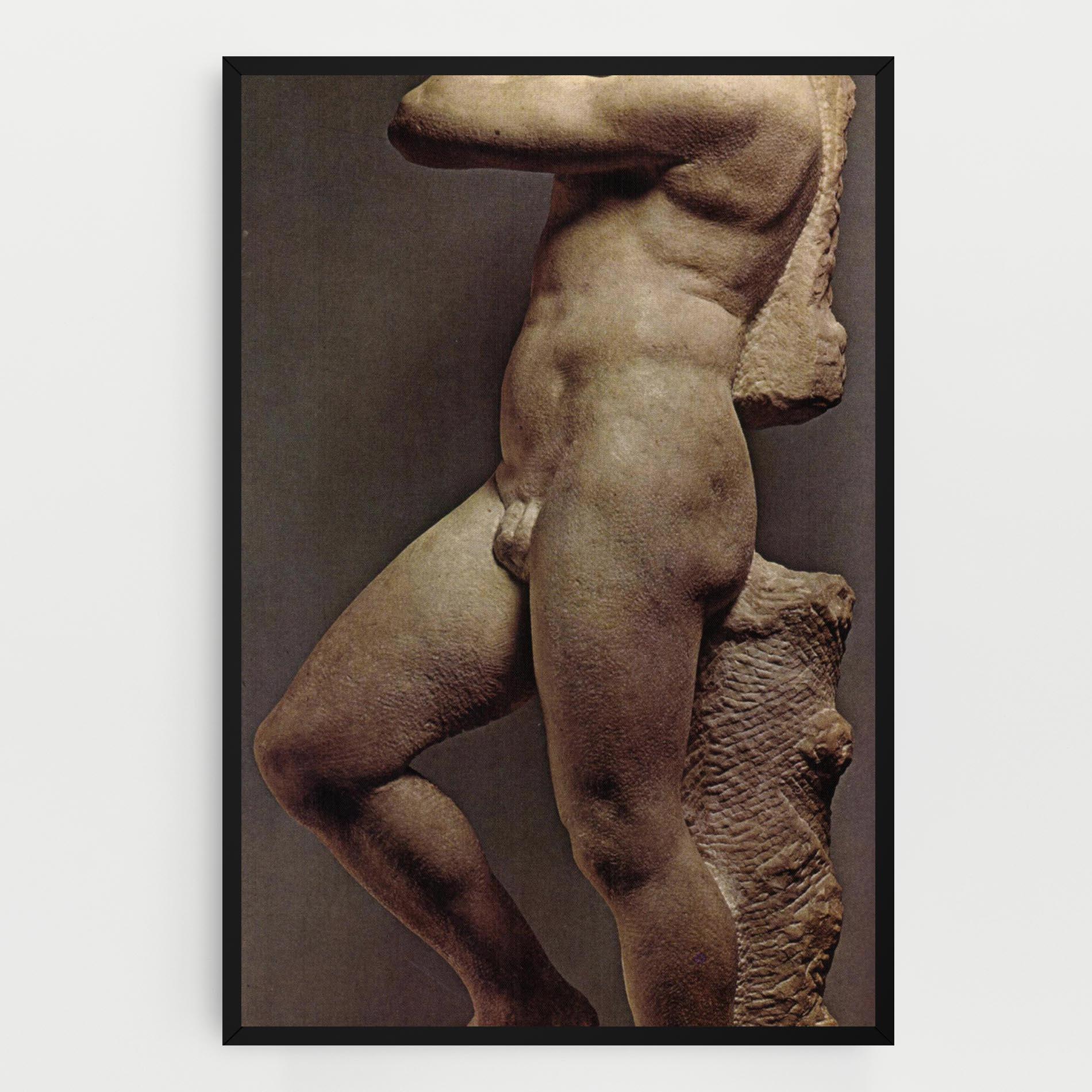 Vászonkép Apollino mockup 0