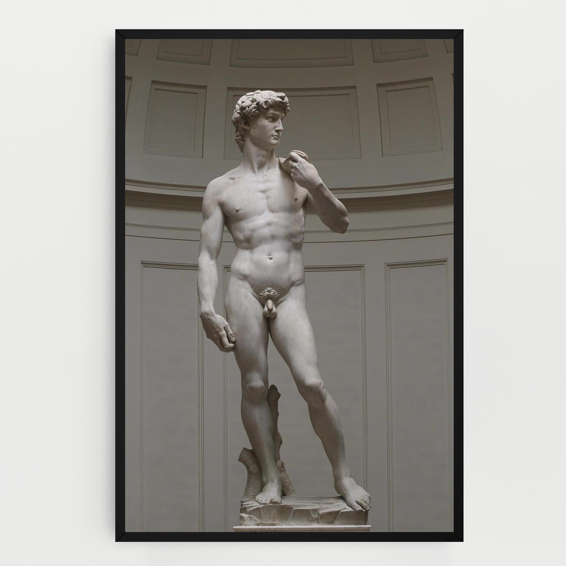 Vászonkép Michelangelo Statue mockup 0