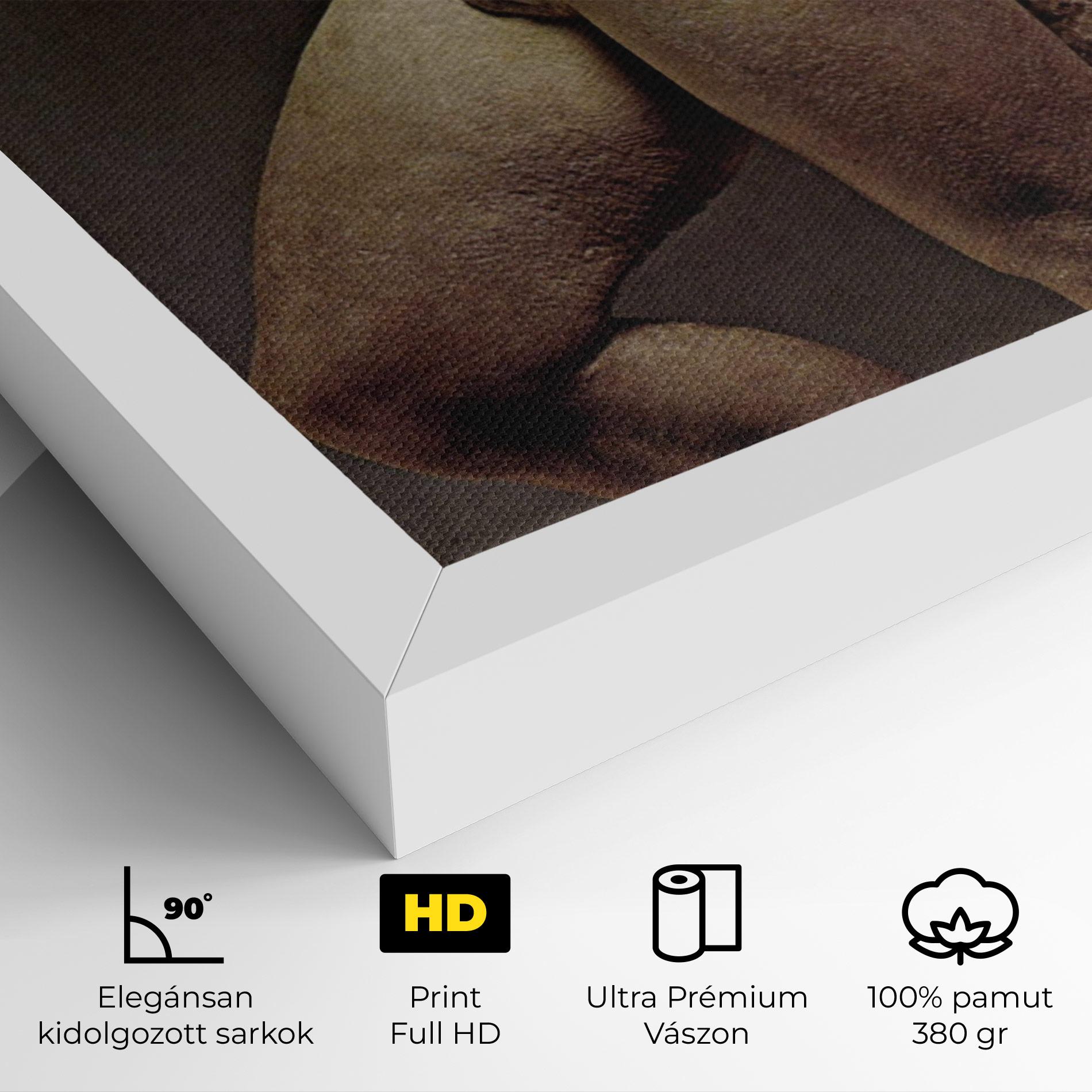 Vászonkép Apollino mockup 4