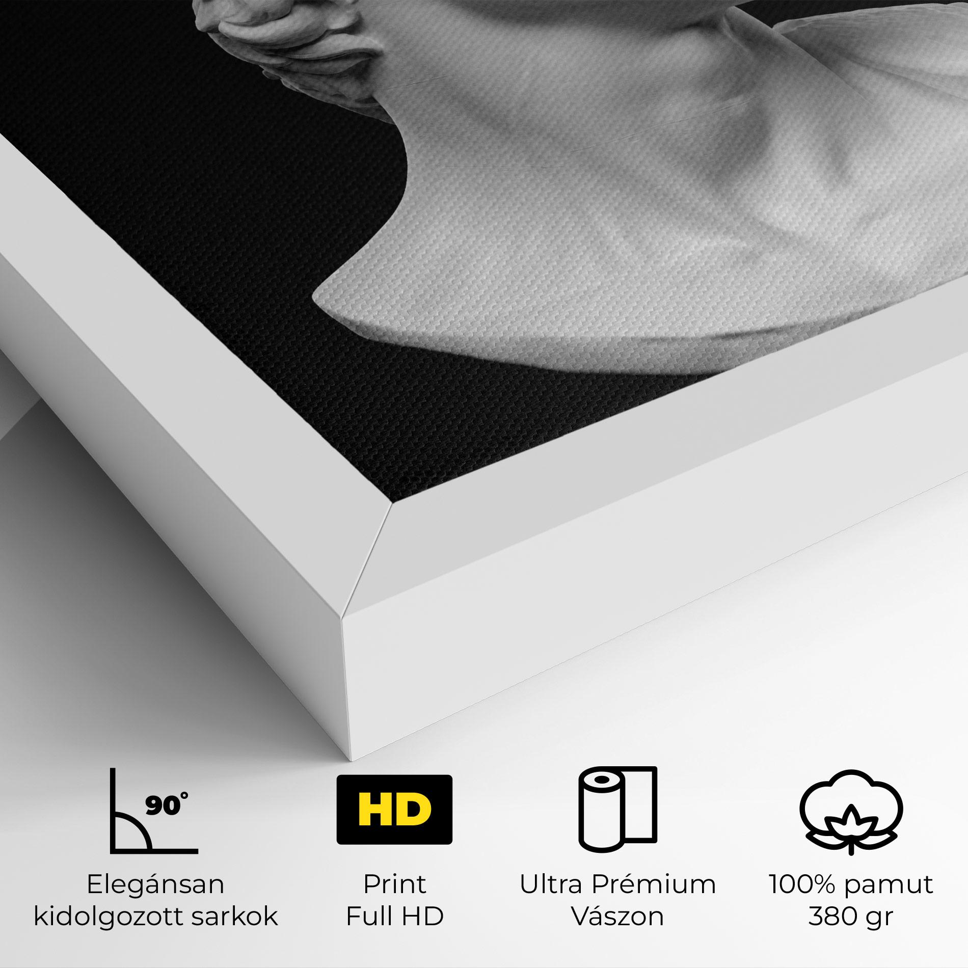 Vászonkép David Head mockup 4