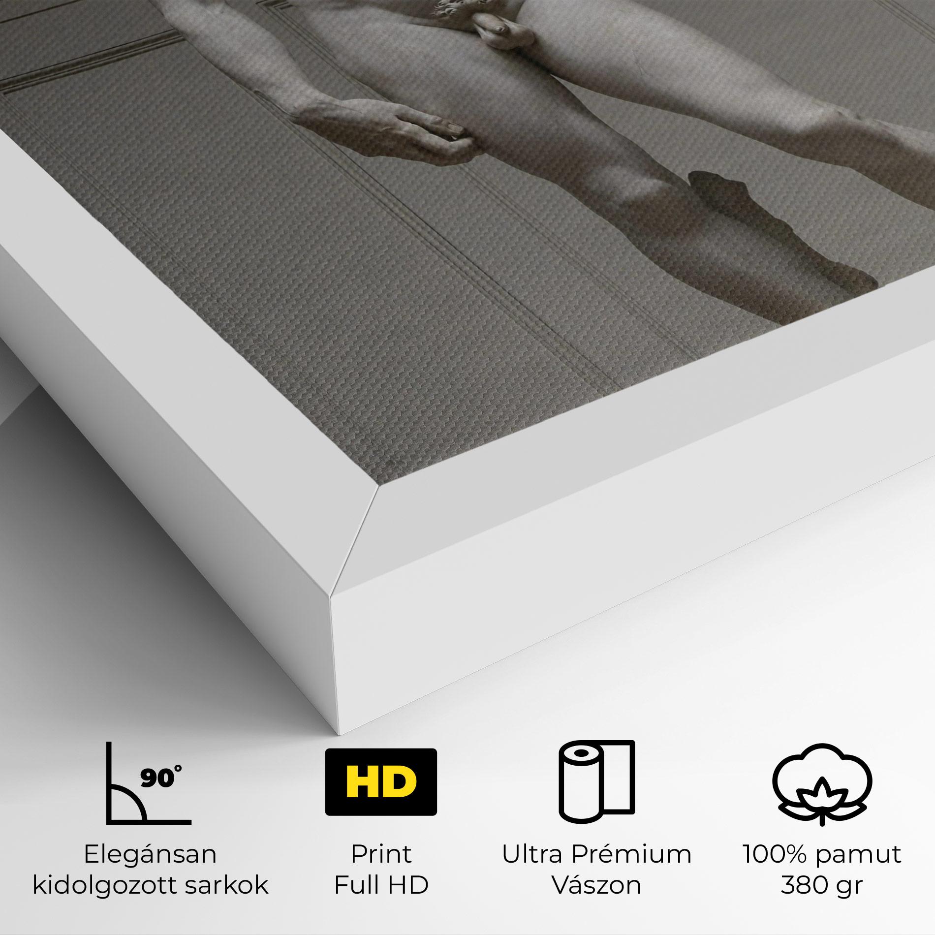 Vászonkép Michelangelo Statue mockup 4