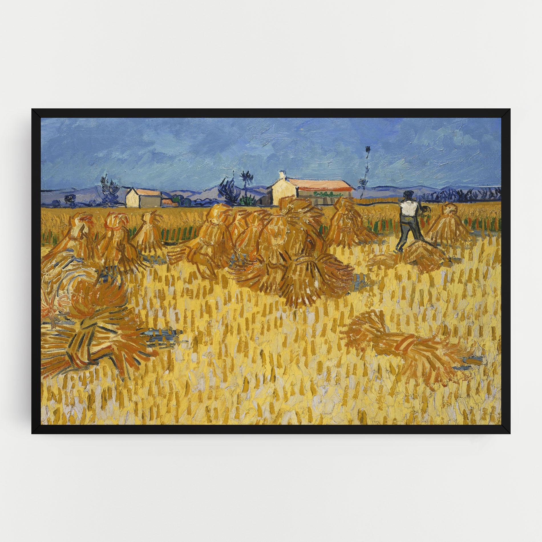 Vászonkép Corn Harvest mockup 0
