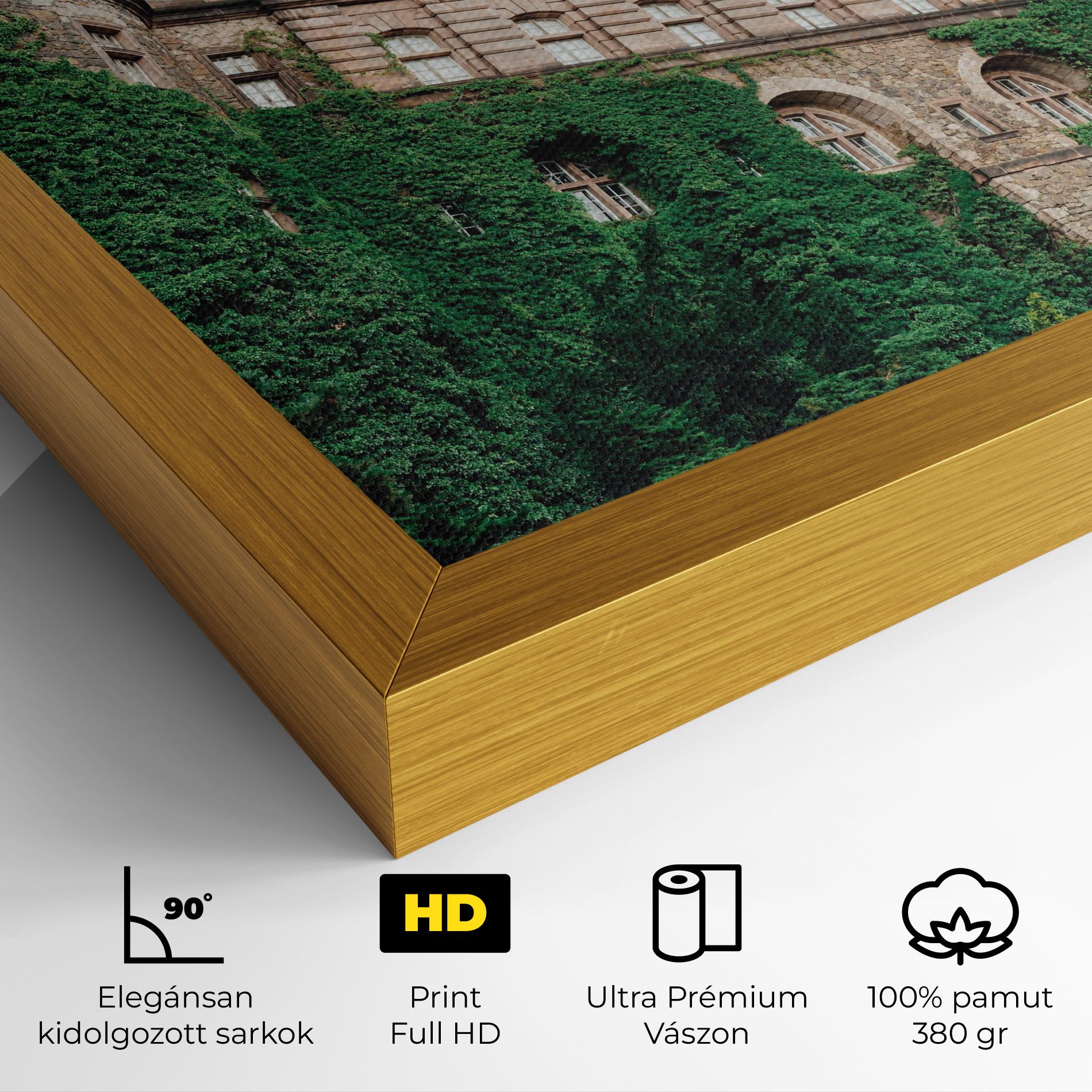 Ksiaz Swiebodzice Poland mockup 4