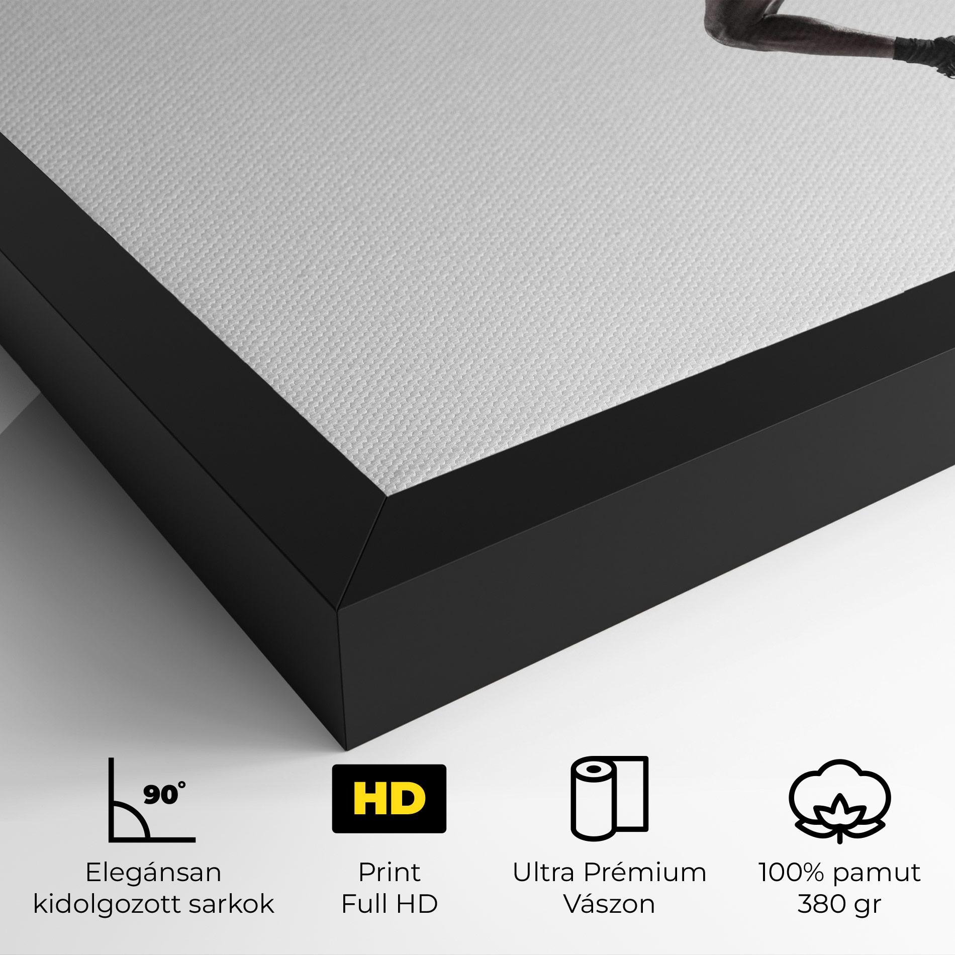 Vászonkép Basketball Player Flying mockup 4