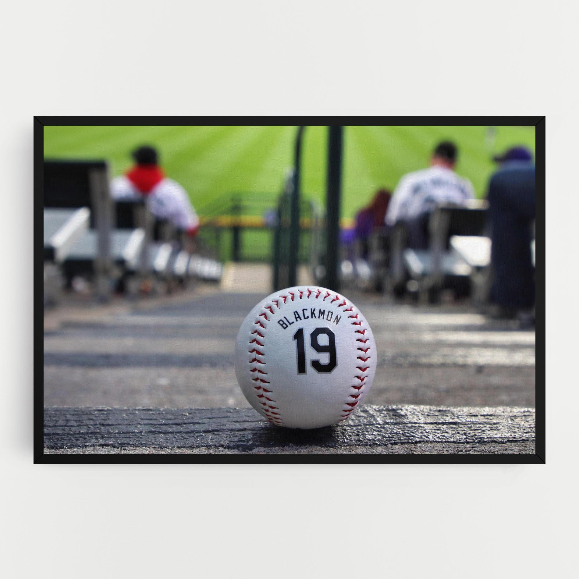 Vászonkép Baseball Nr 19 mockup 0