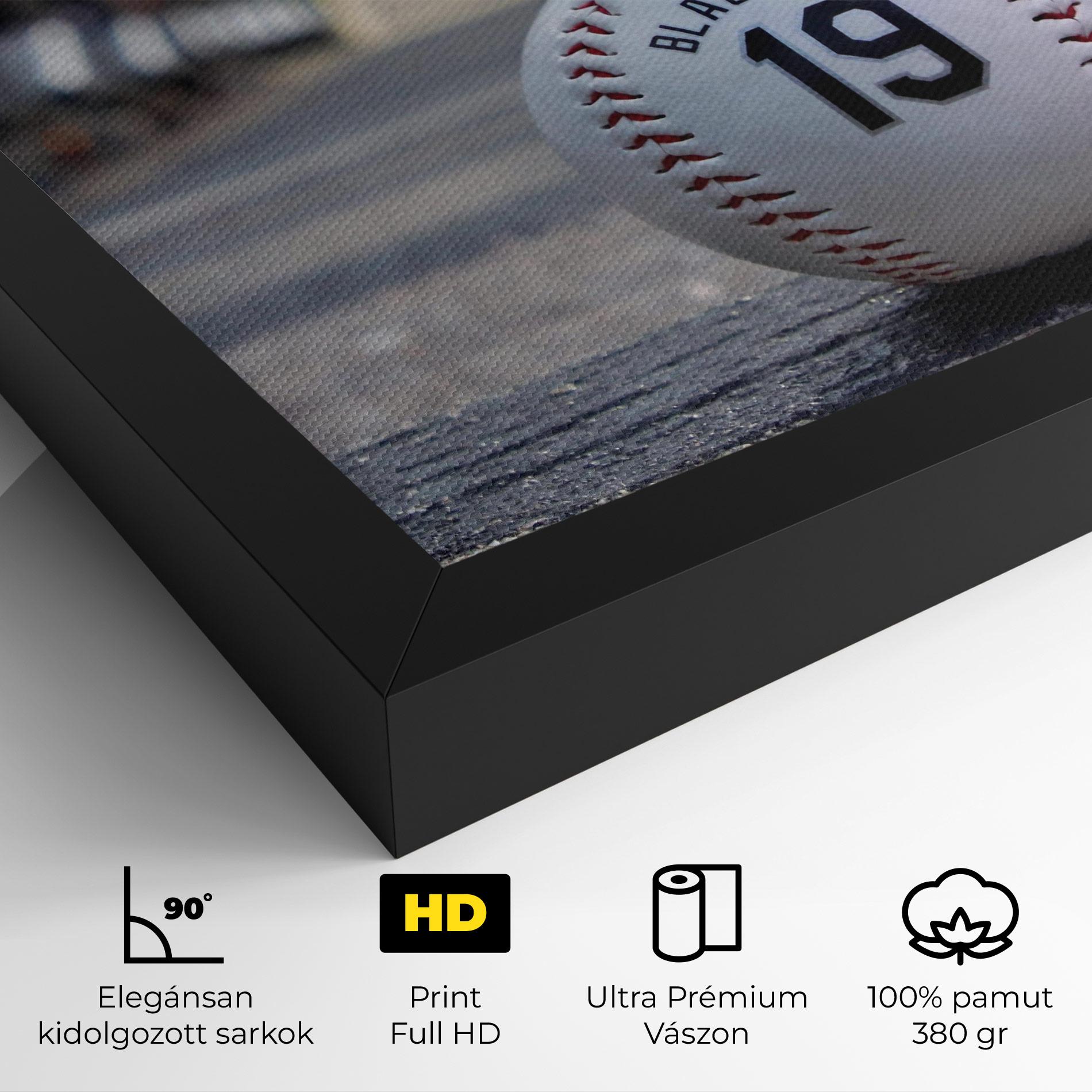 Vászonkép Baseball Nr 19 mockup 4