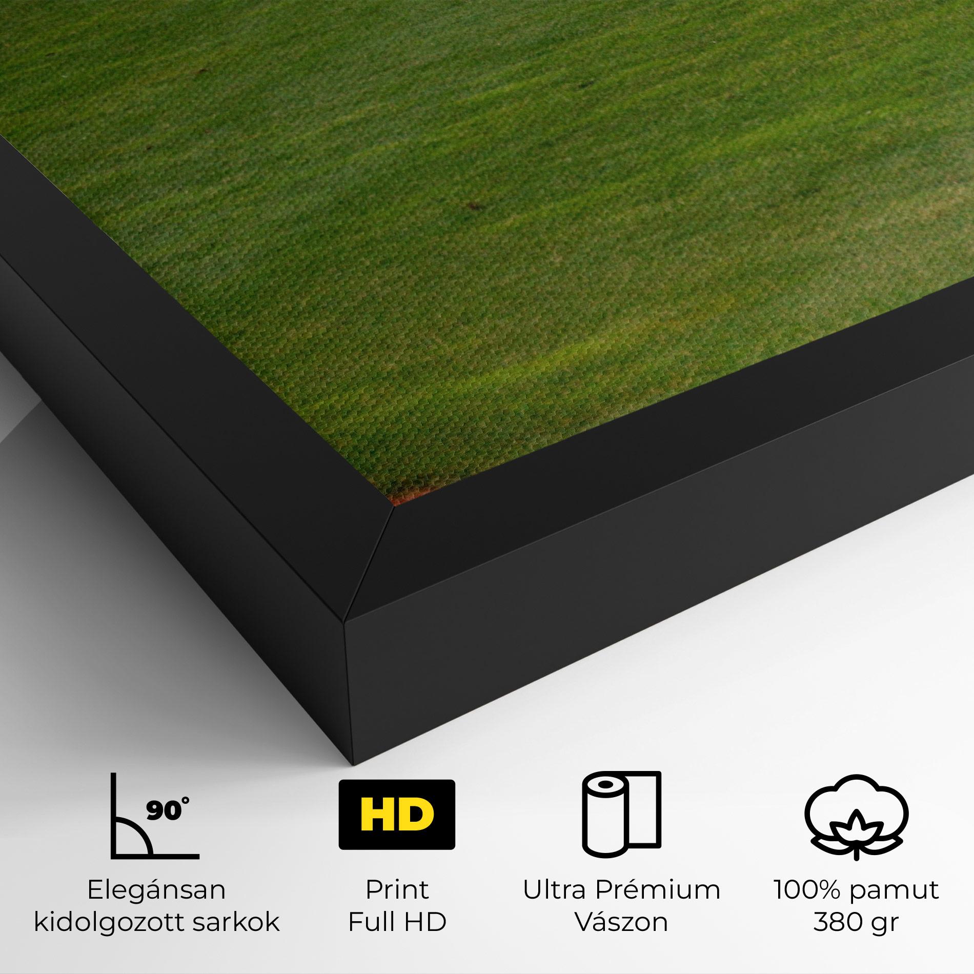 Vászonkép Baseball Player mockup 4