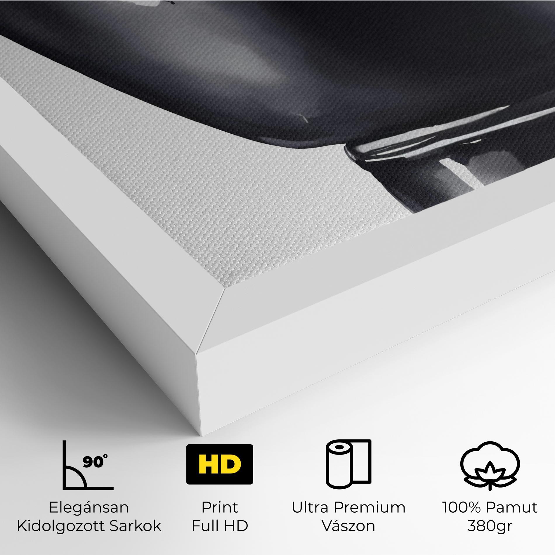 Vászonkép Black Box Glove mockup 4