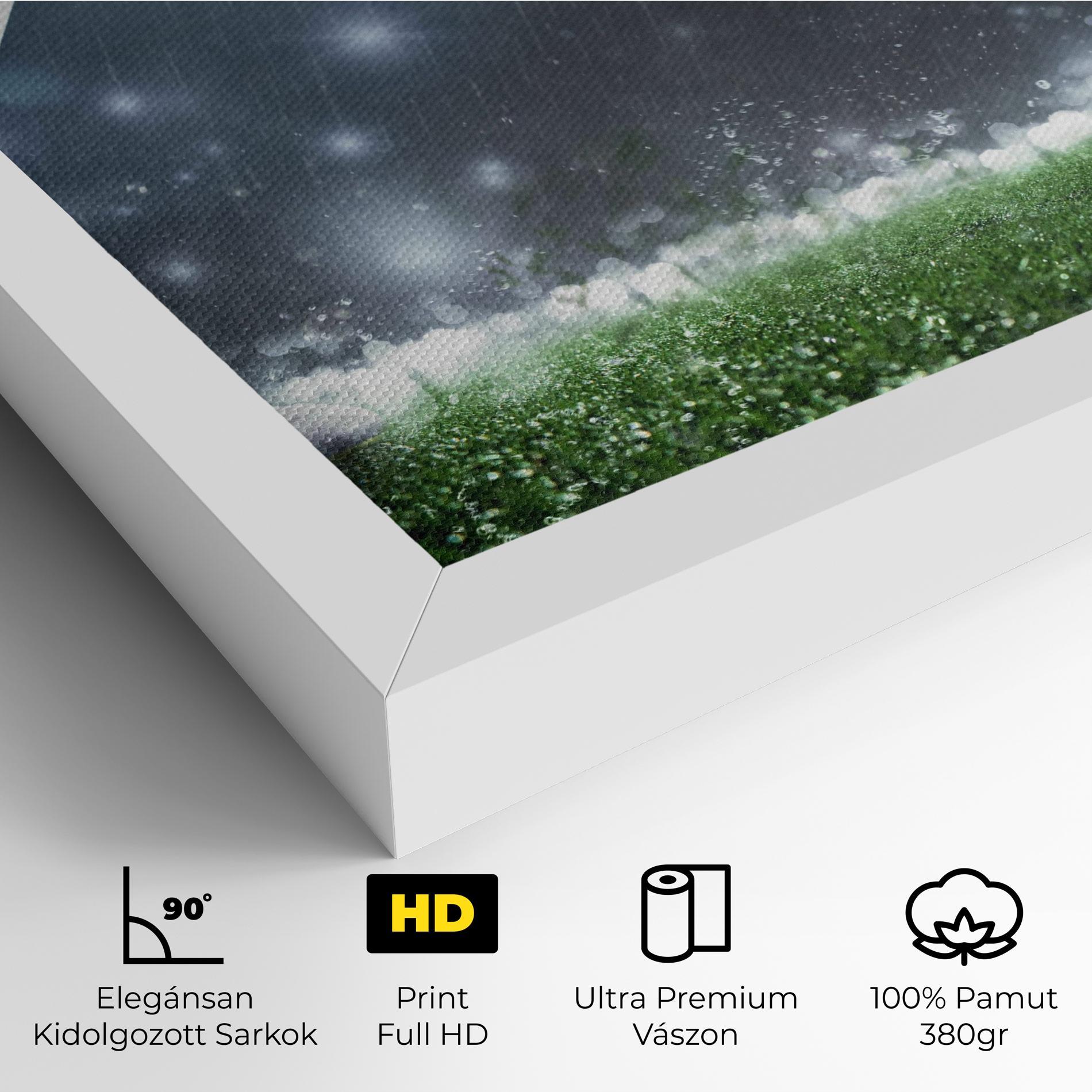 Vászonkép Close Up Football Scene mockup 4