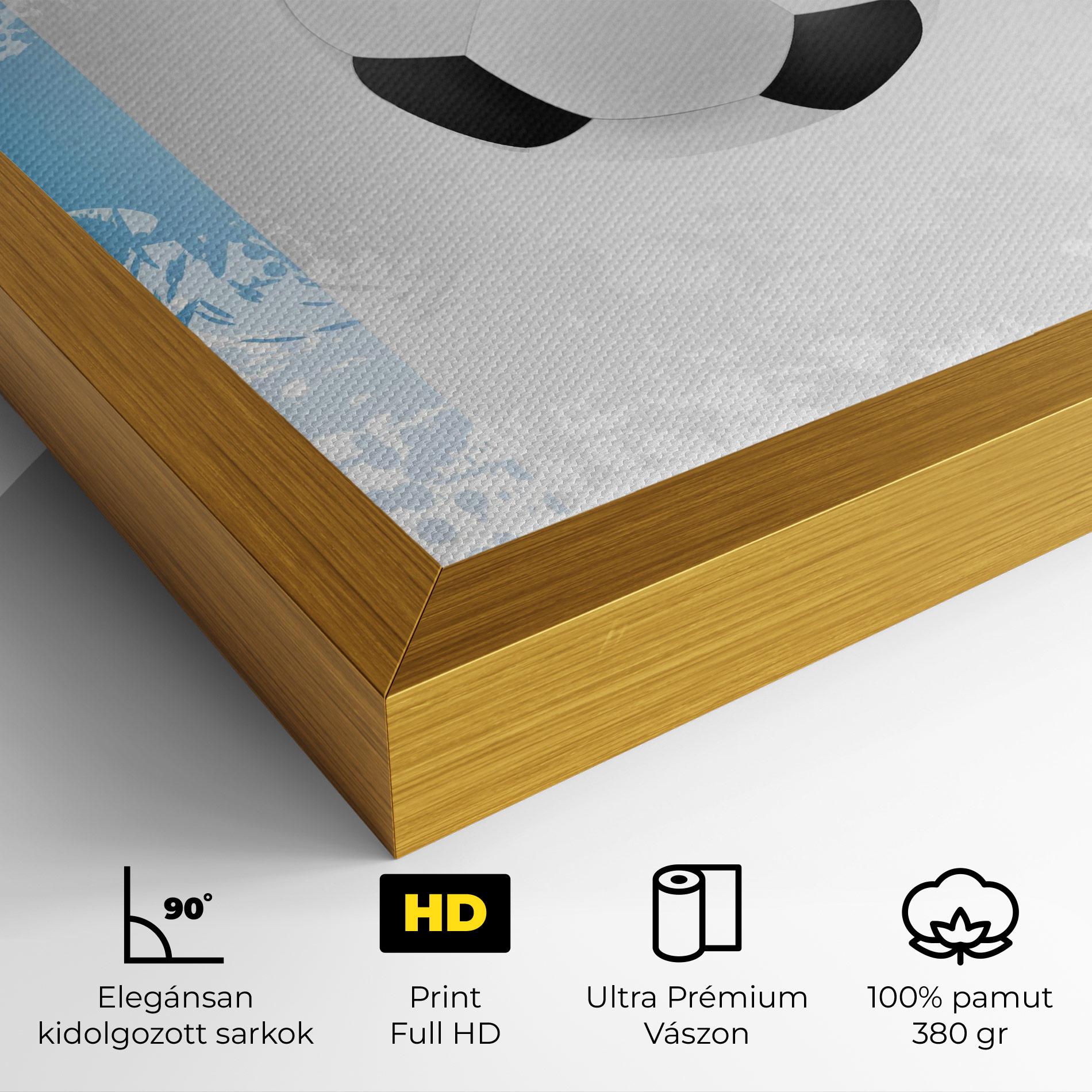 Vászonkép France Football mockup 4