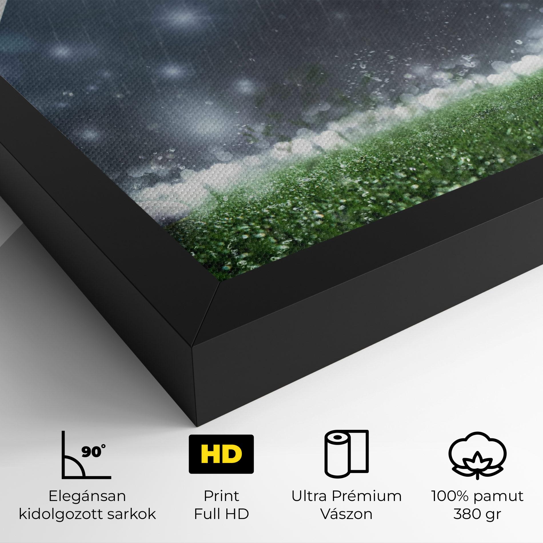 Vászonkép Close Up Football Scene mockup 4