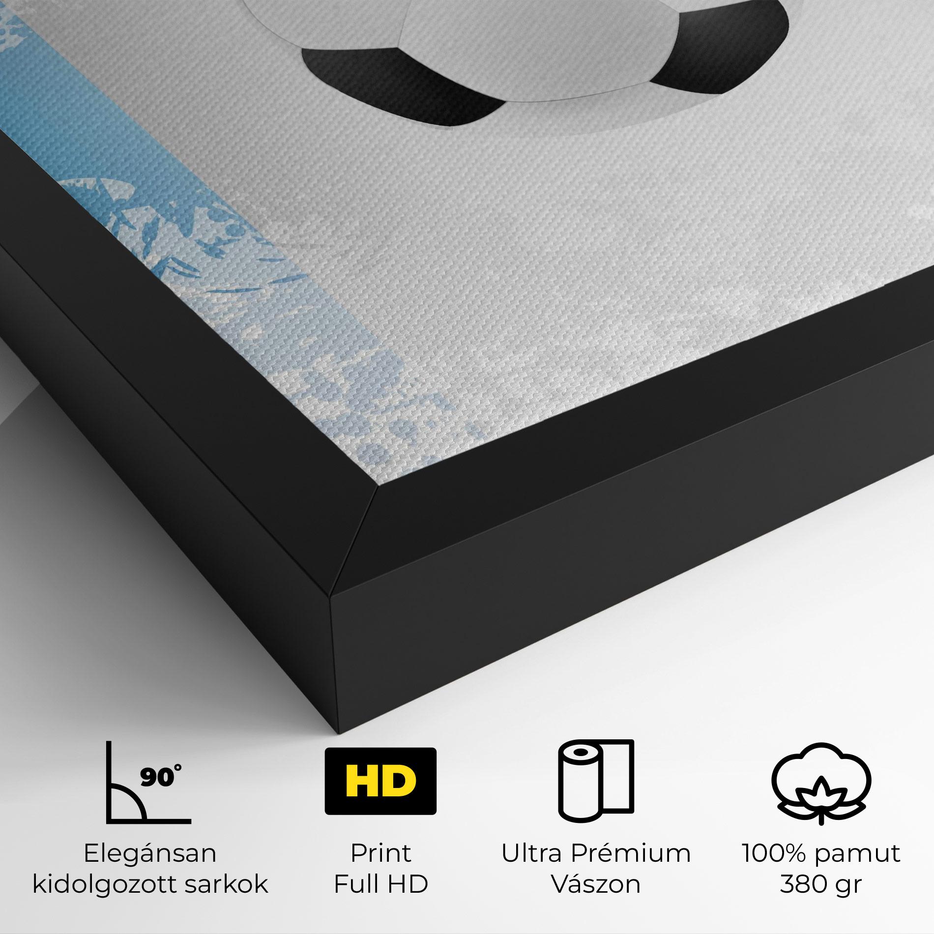 Vászonkép France Football mockup 4