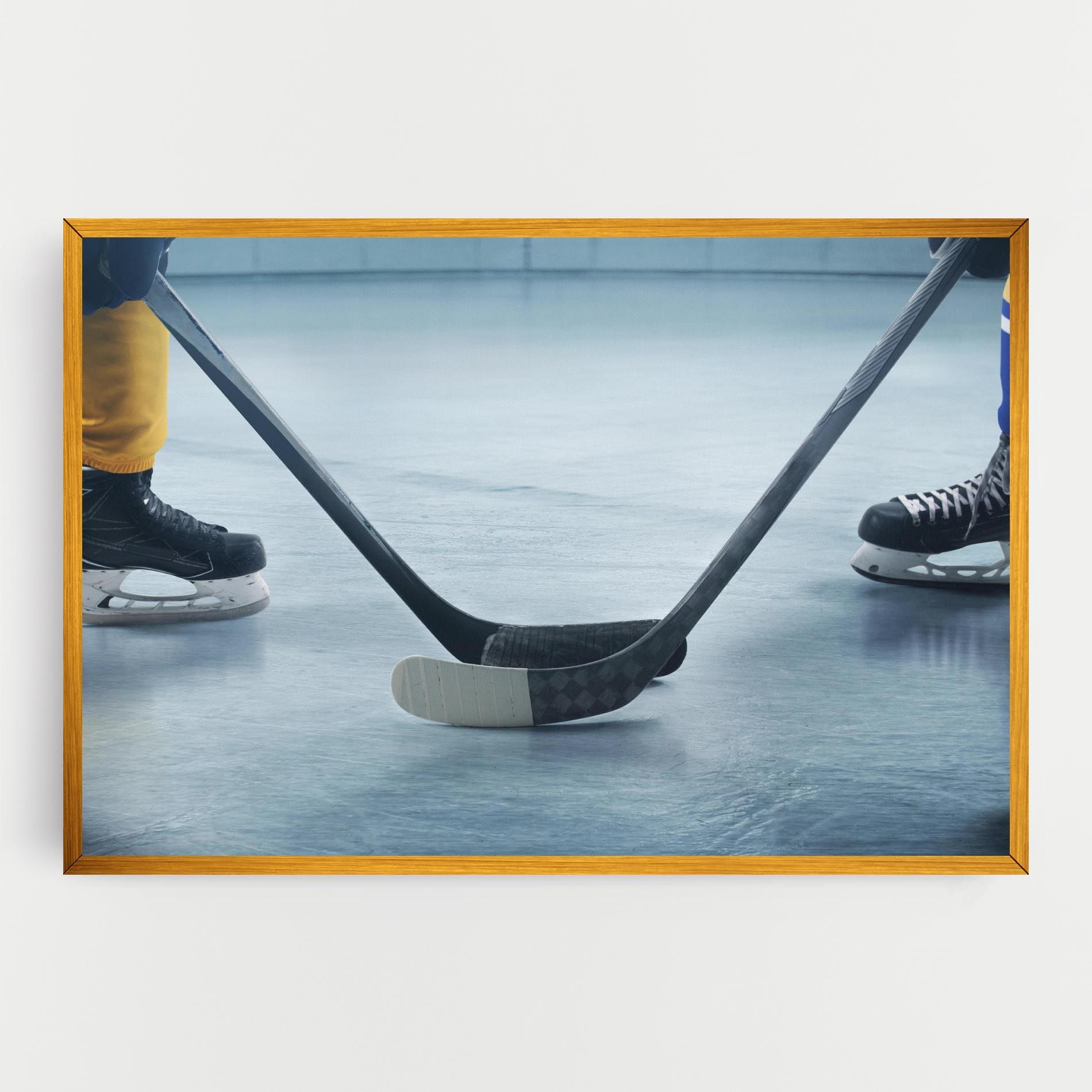 Ice Insight mockup 0