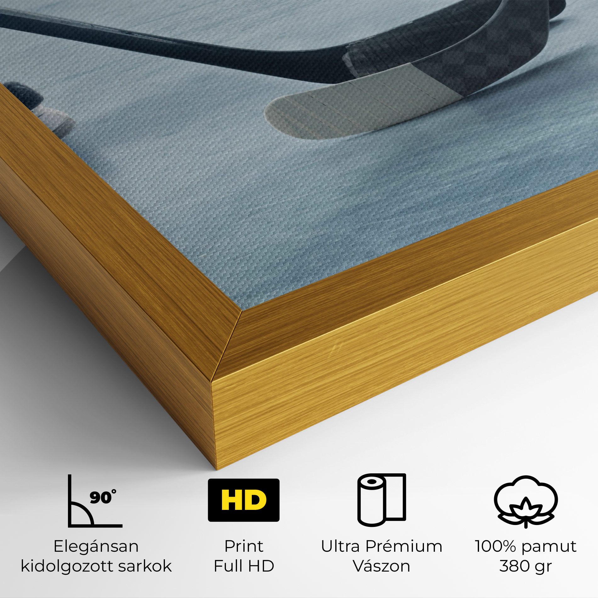 Ice Insight mockup 4