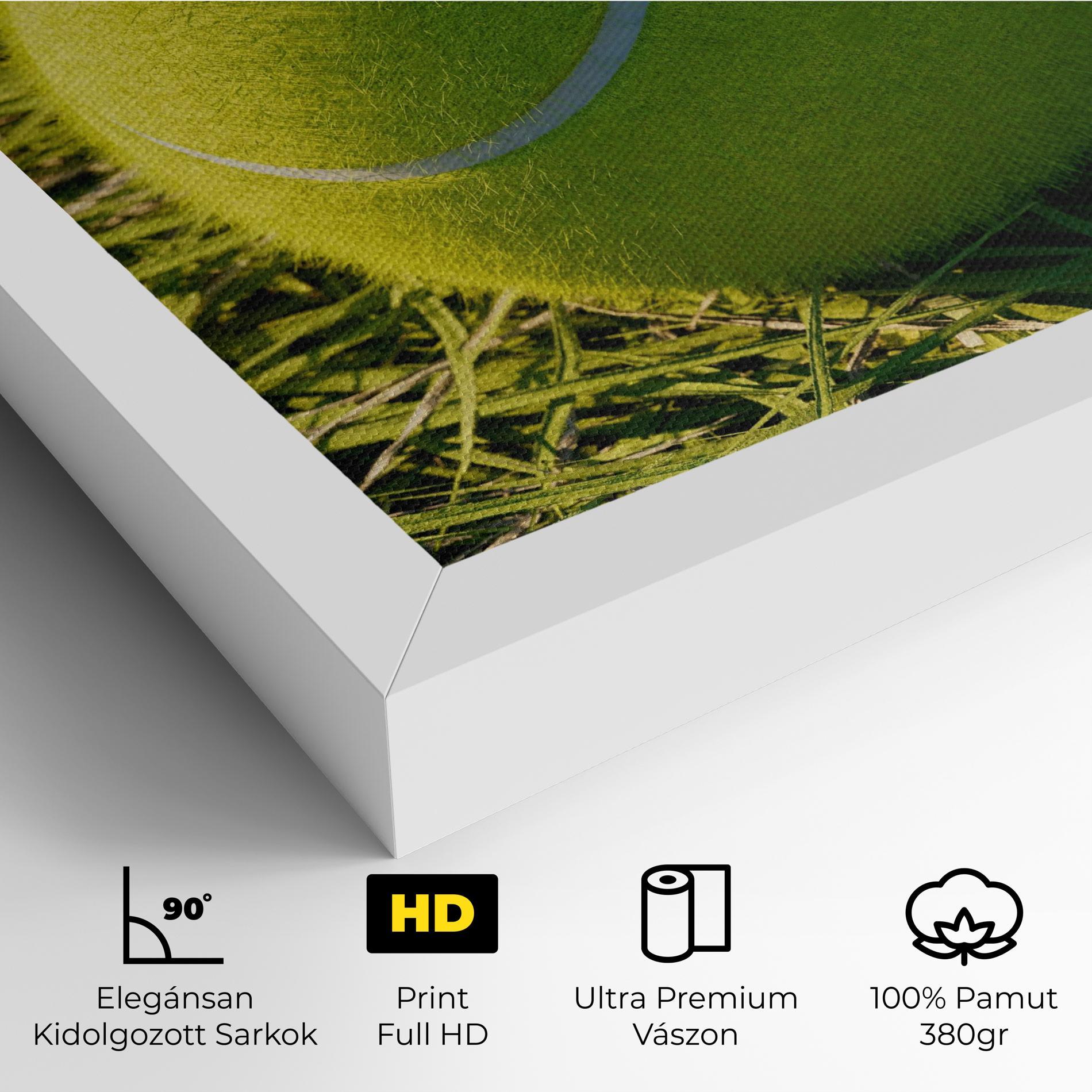 Vászonkép Green Tennis Ball mockup 4